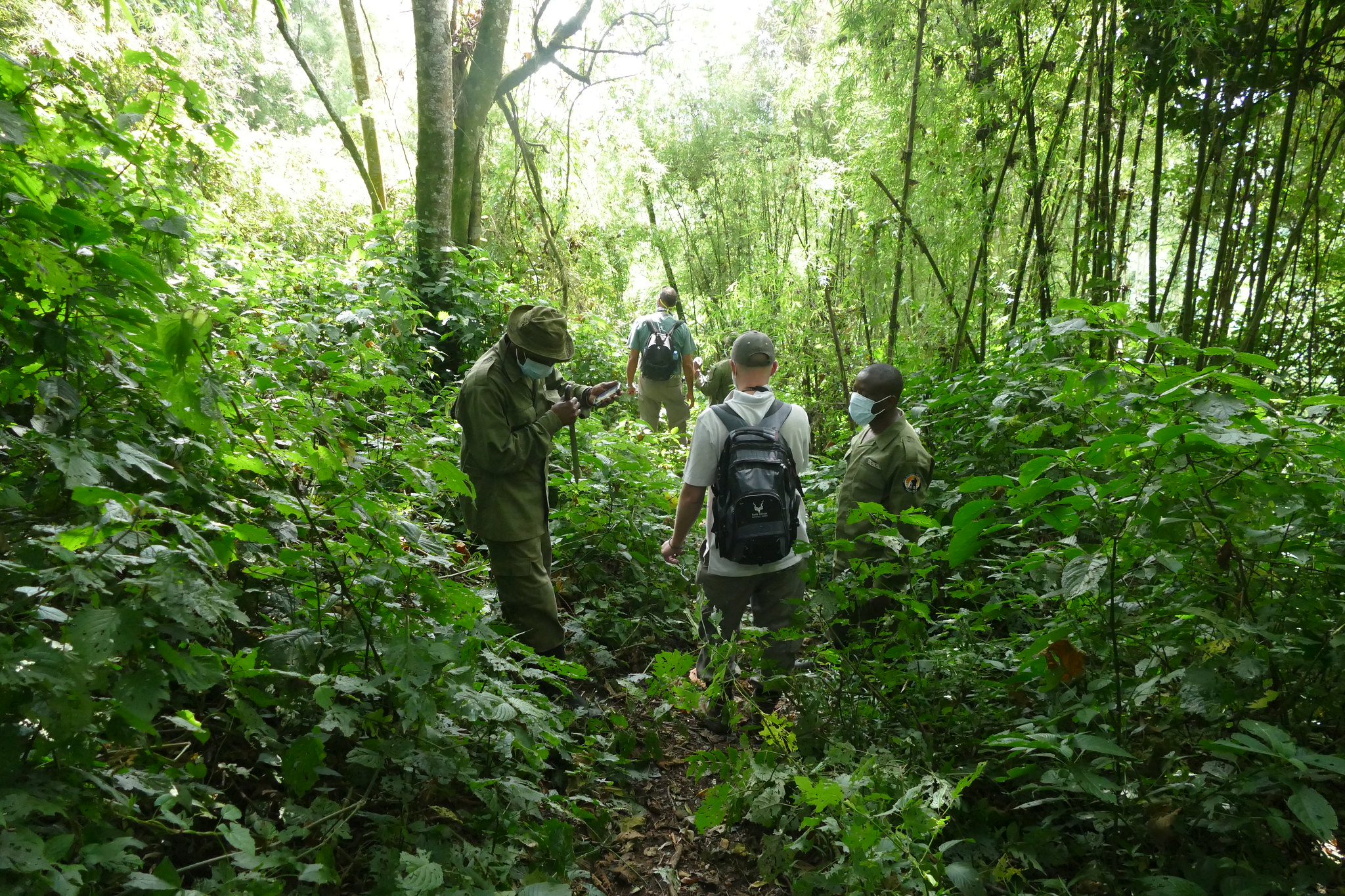 Un groupe accompagné de gardes du parc (RD Congo, 2016).