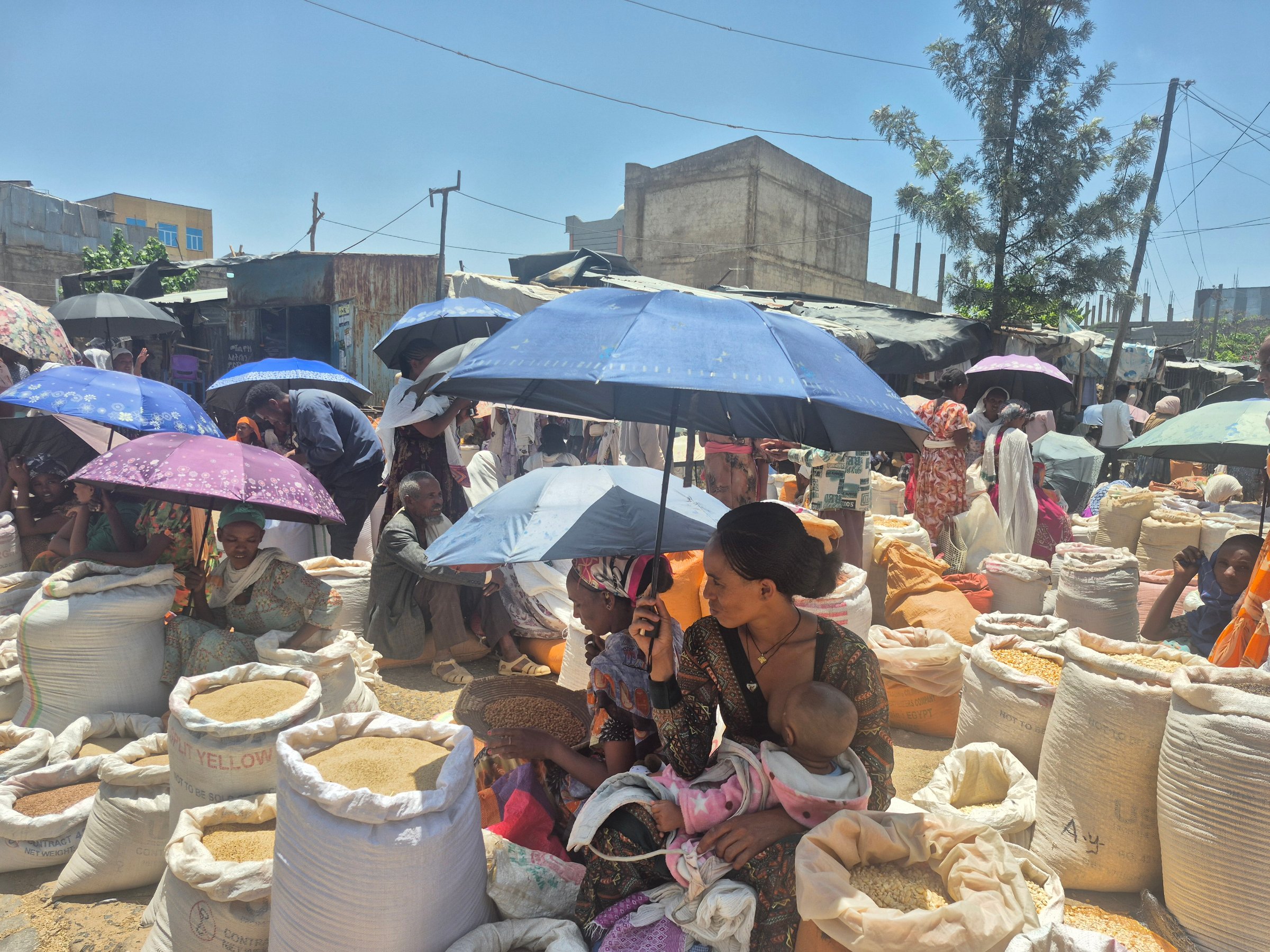 Les commerçants de ce marché de Shire, au Tigray, redoutent une nouvelle guerre.