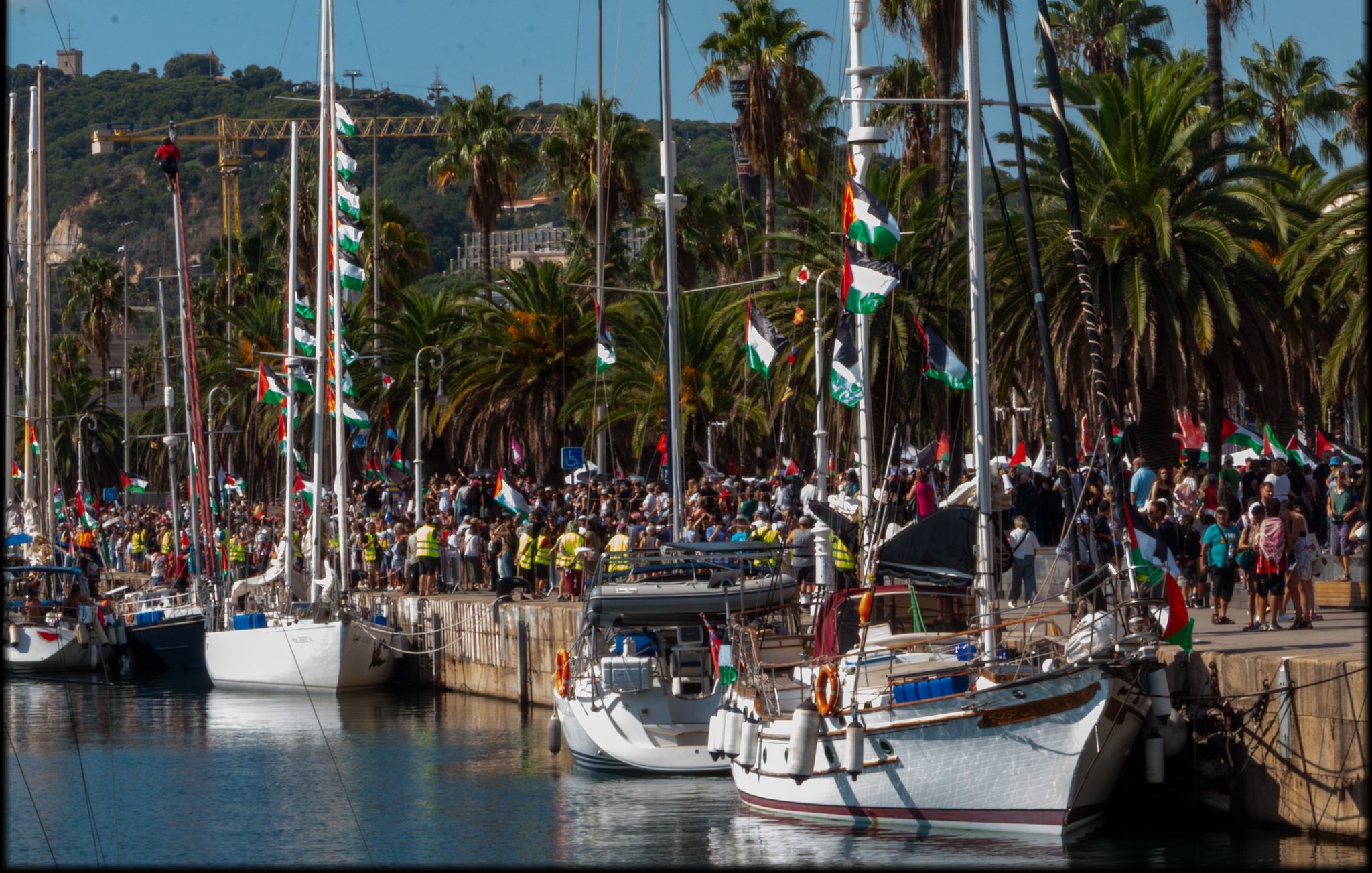 The image shows a vibrant waterfront scene filled with several boats docked along a harbor. There are tall palm trees lining the shore, contributing to a tropical atmosphere. A large crowd of people can be seen gathered by the boats, many waving flags, suggesting a festive or celebratory event. The flags feature various colors and designs, indicating a sense of community or national pride. In the background, there are green hills and possibly some buildings, adding depth to the setting. The overall mood appears to be lively and cheerful, with bright sunlight illuminating the scene.