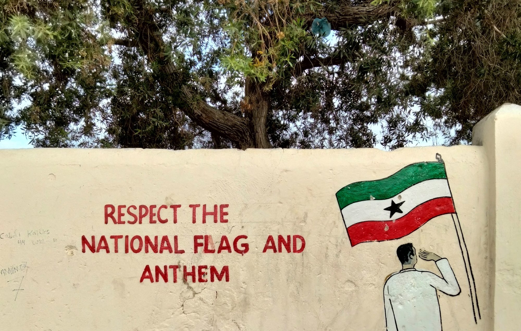 The image shows a mural on a wall featuring the phrase "RESPECT THE NATIONAL FLAG AND ANTHEM" written in bold, red letters. Next to the text, there is a painted figure of a person saluting while holding a flag that has green, white, and red stripes with a star in the center. The background includes a tree, suggesting an outdoor setting. The overall message promotes respect for the national symbols.