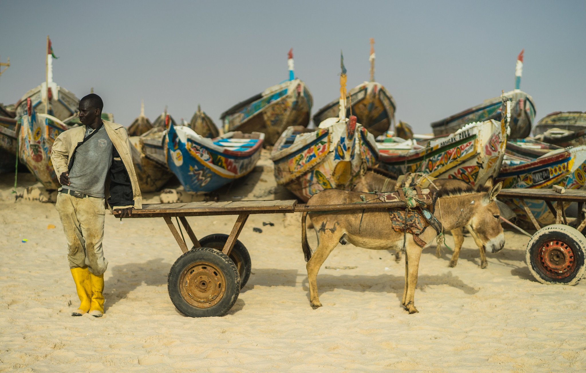 Dans cette image, un homme se tient près d'une charrette tirée par un âne sur une plage de sable. Il porte des bottes jaunes et un vêtement décontracté, et son regard est tourné vers l'horizon. En arrière-plan, plusieurs bateaux colorés sont alignés sur la plage, ornés de motifs et de dessins artistiques. L'atmosphère est tranquille, avec un ciel légèrement brumeux qui ajoute une touche de mystère à la scène. Le son des vagues et l'odeur de la mer pourraient également être imaginés, créant une ambiance maritime authentique.