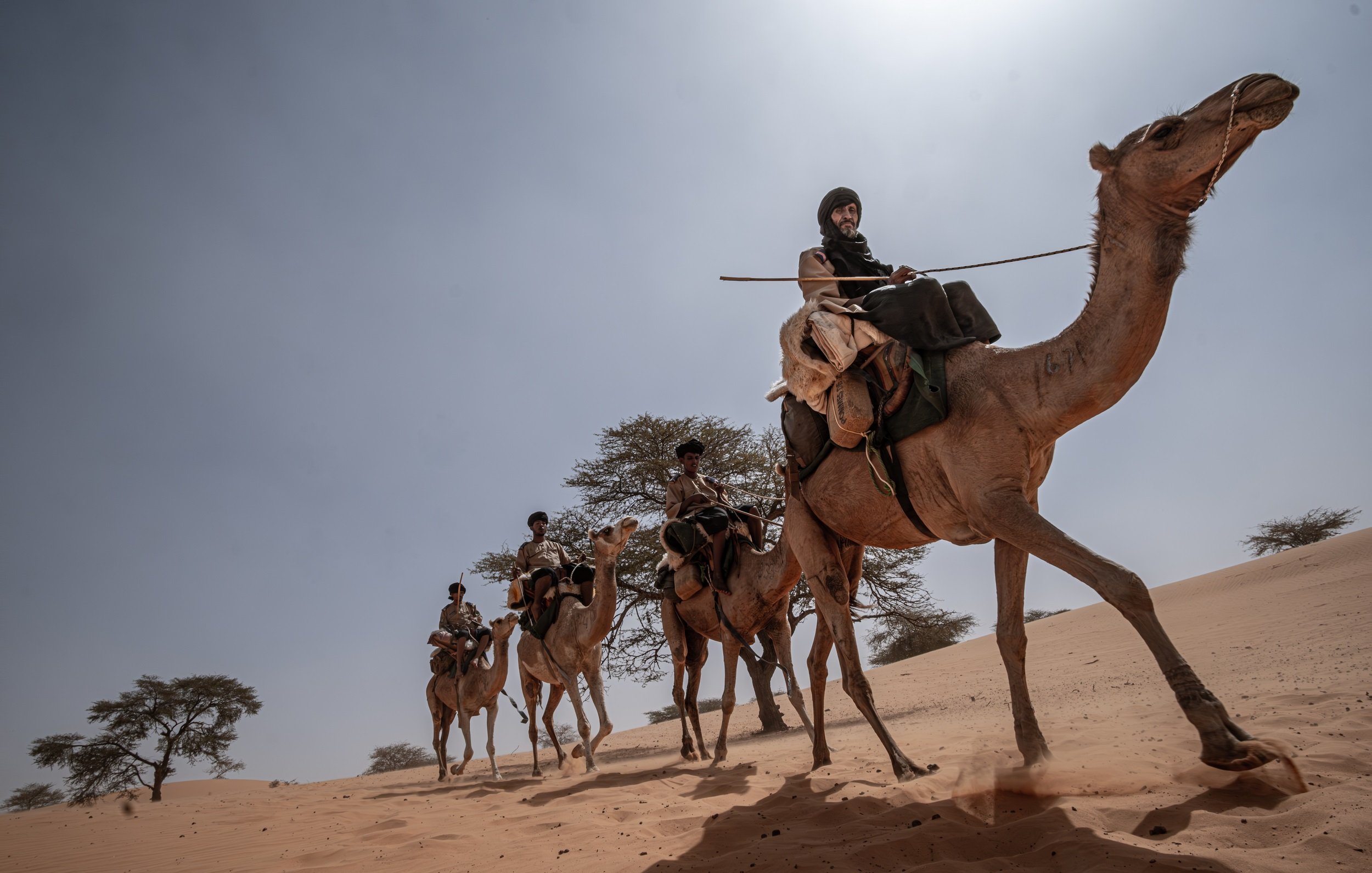 Dans cette image, on voit un groupe de personnes traversant un paysage désertique. Ils sont assis sur des chameaux, marchant lentement sur des dunes de sable. Le ciel est lumineux, presque sans nuages, et le soleil projette des ombres douces sur le sol. À l'arrière-plan, quelques arbres solitaires émergent du sable, ajoutant une touche de verdure à l'environnement aride. Les cavaliers portent des vêtements traditionnels, et certains tiennent des bâtons. L'ambiance de la scène évoque l'aventure et l'exploration dans un cadre naturel et spectaculaire.