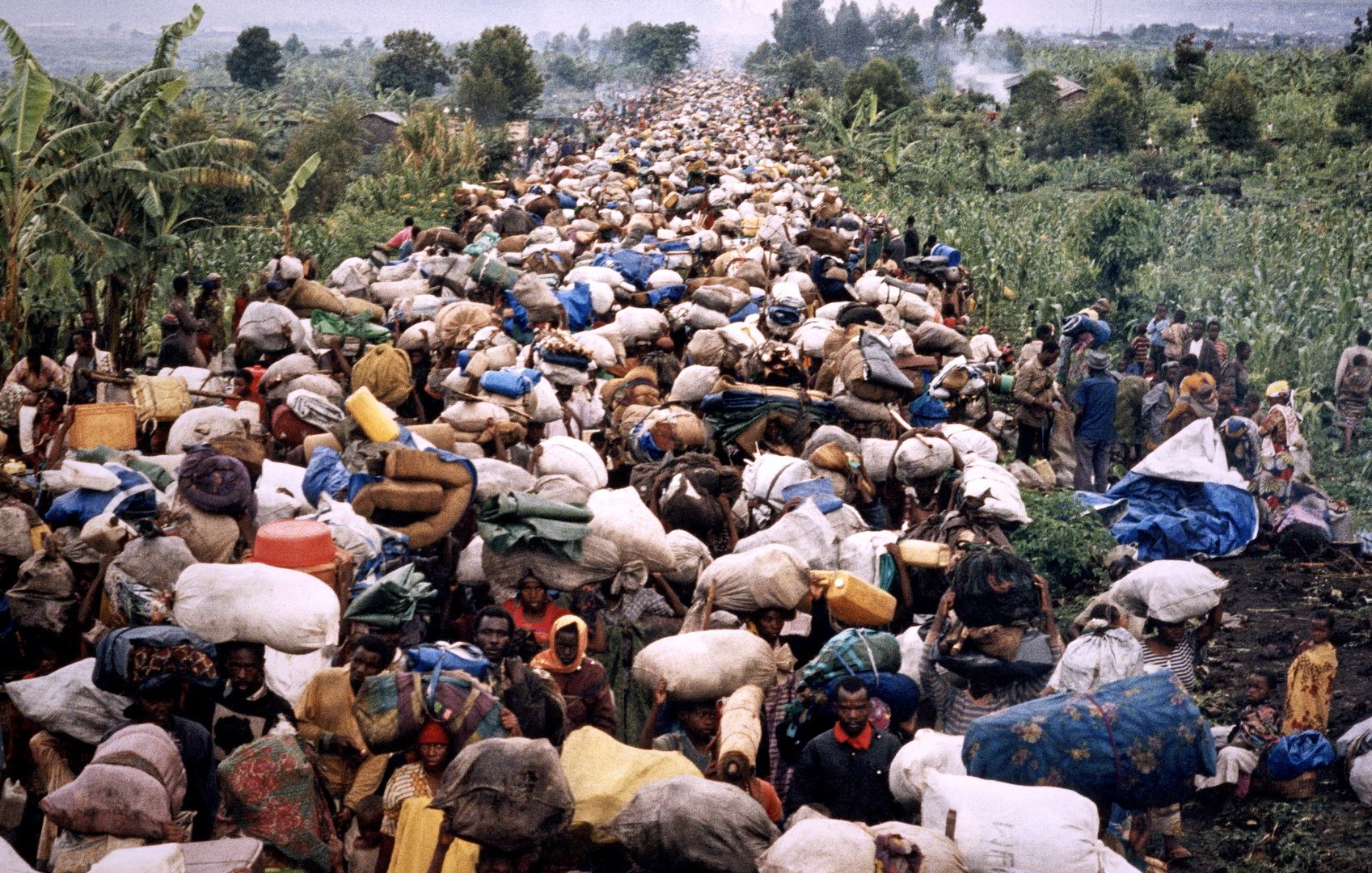 L'image montre une scène de déplacement massifs de personnes. Une foule dense de réfugiés marche sur un chemin, transportant de lourdes charges sur le dos et la tête. Les personnes sont entourées de verdure, avec des arbres et des plantations visibles au loin. Les visages des réfugiés reflètent souvent la fatigue et la détermination, tandis que certains portent des vêtements colorés. L'ambiance est marquée par un sentiment de lutte et de solidarité, malgré les conditions difficiles de leur voyage. Le paysage est ombragé par des montagnes en arrière-plan, ajoutant à la profondeur de la scène.