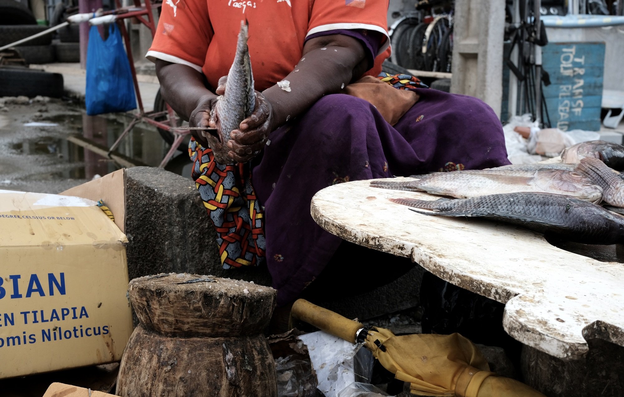 L'image montre une femme qui travaille au marché, tenant un poisson dans ses mains. Elle porte un t-shirt orange et une jupe colorée. À côté d'elle, un tabouret en bois est visible, ainsi qu'une table sur laquelle se trouvent d'autres poissons. Le sol est recouvert de morceaux de glace et des déchets de poisson. En arrière-plan, on peut voir des boîtes et des objets typiques d'un marché, créant une ambiance animée et dynamique. Les détails de l'environnement indiquent un marché de produits frais, avec des textures variées et des odeurs marines.
