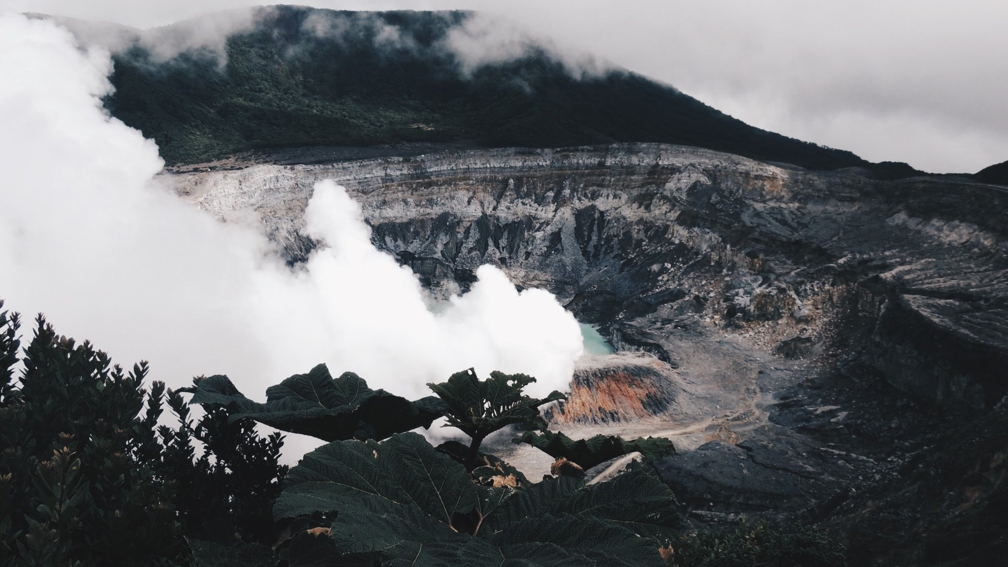 L'image représente un volcan majestueux, entouré de nature. Au premier plan, de grandes feuilles vertes ajoutent une touche de verdure. En arrière-plan, on peut apercevoir la caldeira du volcan, où des nuages de vapeur blanche s'échappent, créant une atmosphère mystérieuse. Le ciel est couvert de nuages, laissant transparaître une lumière diffuse, tandis que les parois du volcan sont marquées par des teintes terreuses, mêlant le gris et le brun. La scène évoque une puissance naturelle, accentuée par le son potentiel du souffle de la terre.