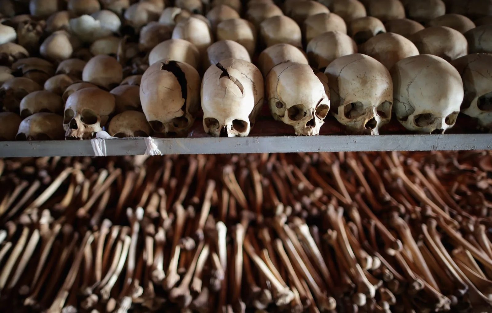 L'image montre un ensemble de crânes humains disposés sur une étagère, alignés les uns à côté des autres. Les crânes sont de couleur crème, certains présentent des fissures, témoignant du passage du temps. En dessous des crânes, on peut apercevoir une vaste collection d'os longs, probablement des os des bras et des jambes, également organisés en rangées. L'atmosphère de l'image est sombre et solennelle, évoquant un lieu de mémoire ou un site historique lié à la mort et à la mémoire des défunts.