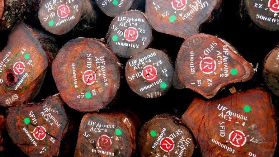 L'image montre un empilement de troncs d'arbre coupés, disposés sur le sol. Chaque rondin présente une surface lisse, révélant un bois riche en textures et en nuances de brun. Sur les troncs, on peut distinguer des marquages en peinture blanche et des points verts, suggérant une identification ou une classification. Les marquages ont une apparence bien définie, ce qui donne un aspect organisé à cet ensemble de rondins. L'atmosphère est naturelle, évoquant une scierie ou une zone de travail forestier. On peut presque sentir l'odeur du bois frais et écouter le calme de l'environnement.