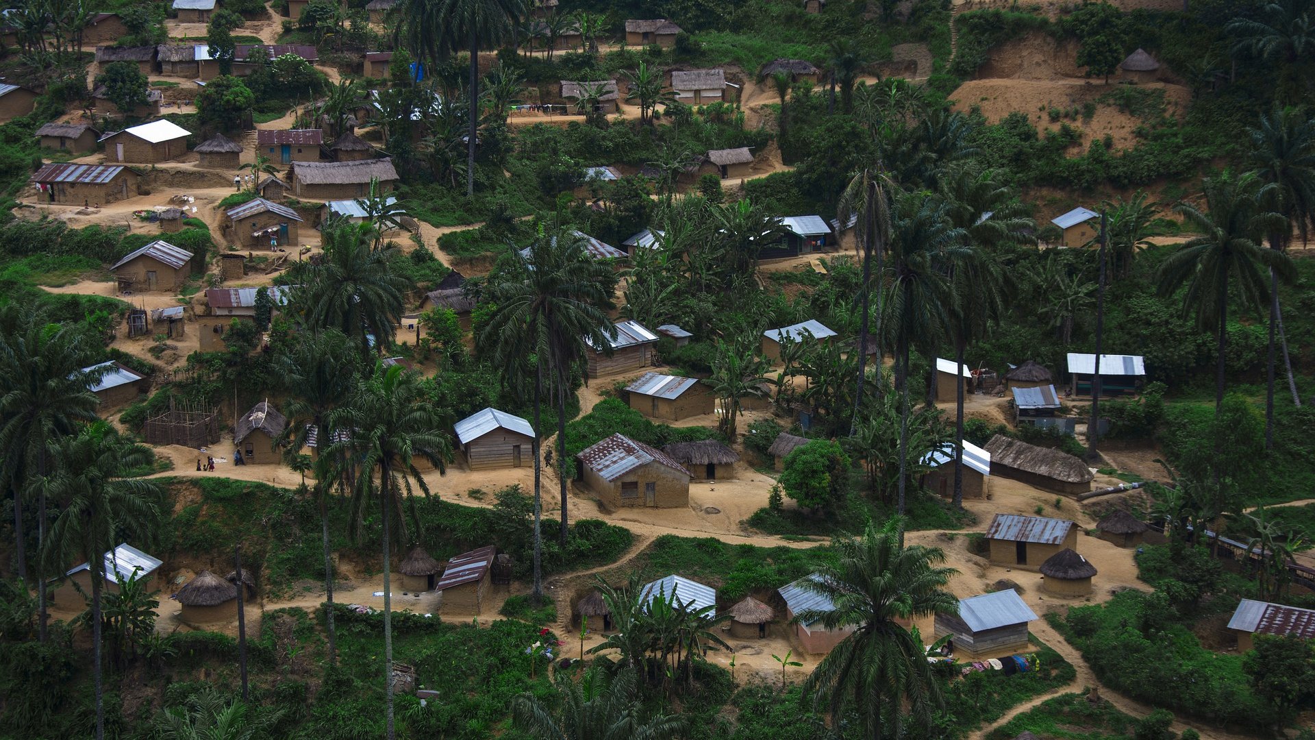L'image présente un paysage rural d'un village, vu d'une certaine hauteur. On y aperçoit des maisons modestes, certaines avec des toits en tôle ondulée, d'autres avec des toits de chaume. Les habitations sont dispersées au milieu d'une végétation dense, dominée par de grandes palmiers. Le sol est en terre battue et on distingue des chemins qui relient les maisons. L'ambiance est paisible, permettant d'imaginer un cadre de vie simple et rural, entouré par la nature vibrante.