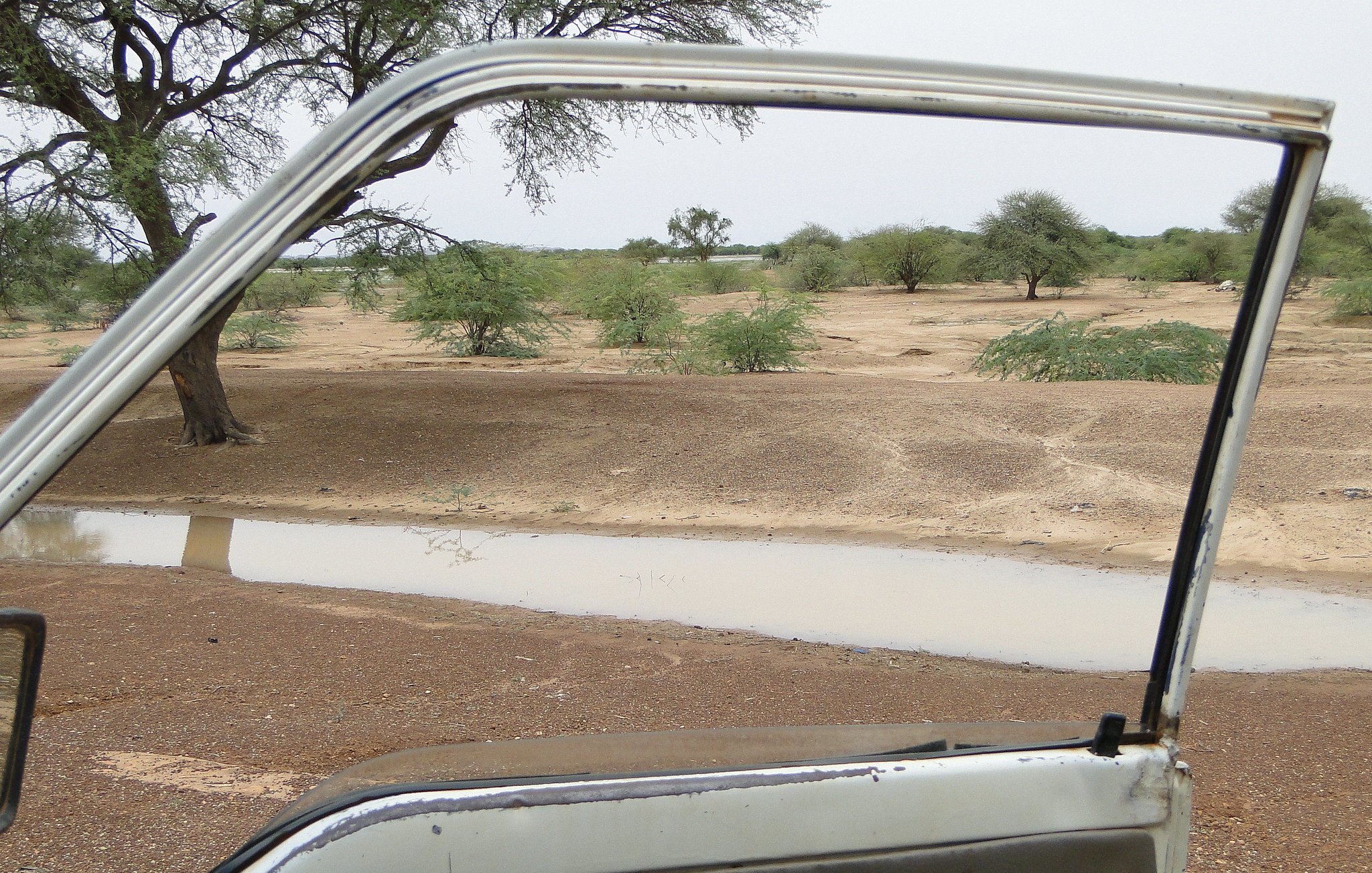 L'image montre le cadre ouvert d'une porte de véhicule, donnant sur un paysage désertique. À l'extérieur, on peut voir un sol aride, parsemé d'arbres épars et de buissons verts. Une petite flaque d'eau est visible, reflétant légèrement la lumière. L'ambiance générale évoque un paysage calme et sec, typique des régions désertiques, avec des teintes de terre brune et des touches de verdure.