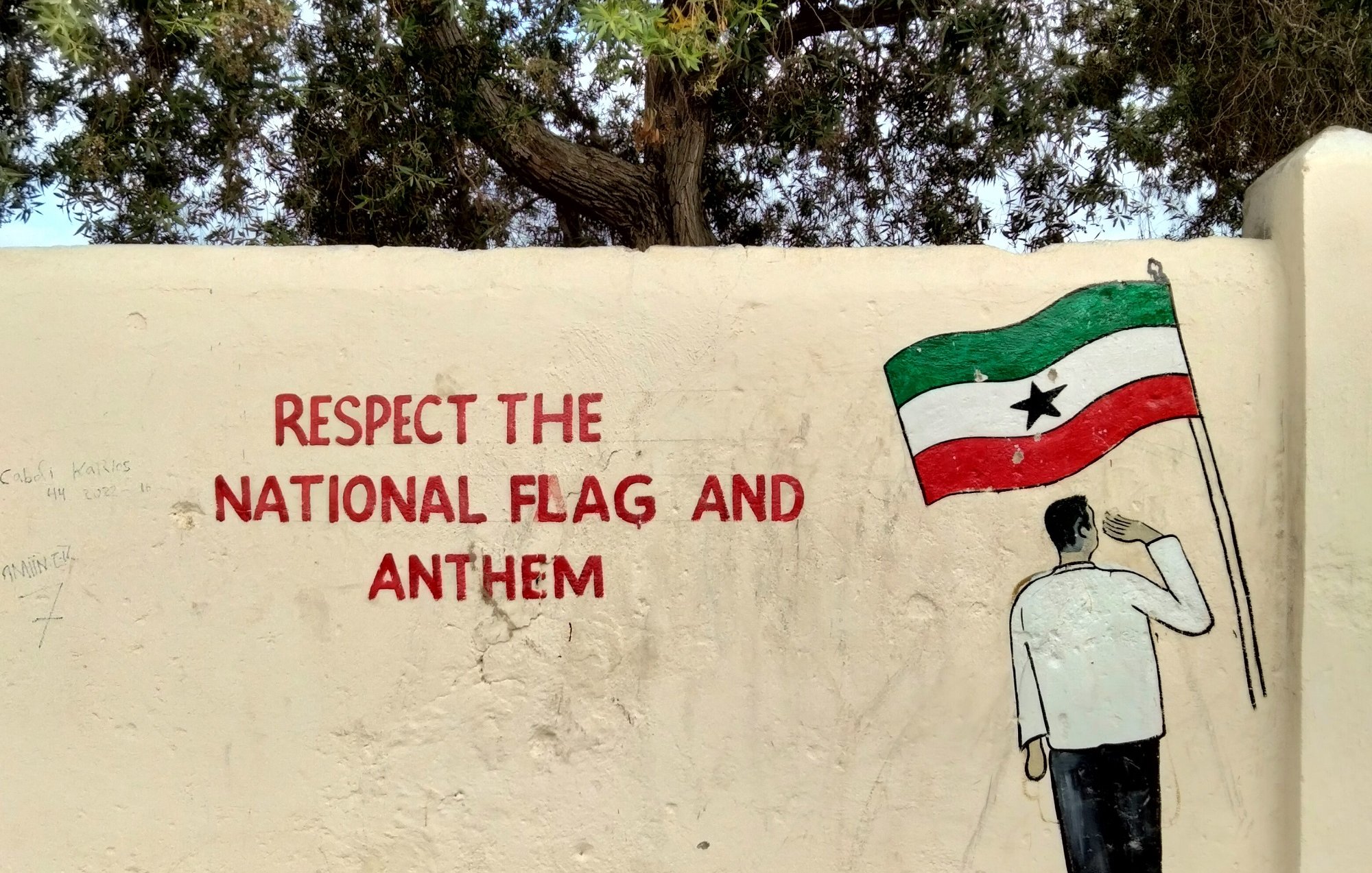 L'image représente un mur peint. Sur ce mur, on aperçoit une illustration d'un homme en train de saluer tandis qu'il tient un drapeau. Ce drapeau, qui est représenté avec des couleurs distinctes, est celui de la région de Somaliland, avec une étoile au centre. À côté de cette illustration, un message est écrit en lettres rouges : "RESPECT THE NATIONAL FLAG AND ANTHEM." La scène est entourée d'un décor naturel, avec des arbres qui ajoutent une touche de verdure à l'environnement. L'atmosphère semble à la fois respectueuse et patriotique.