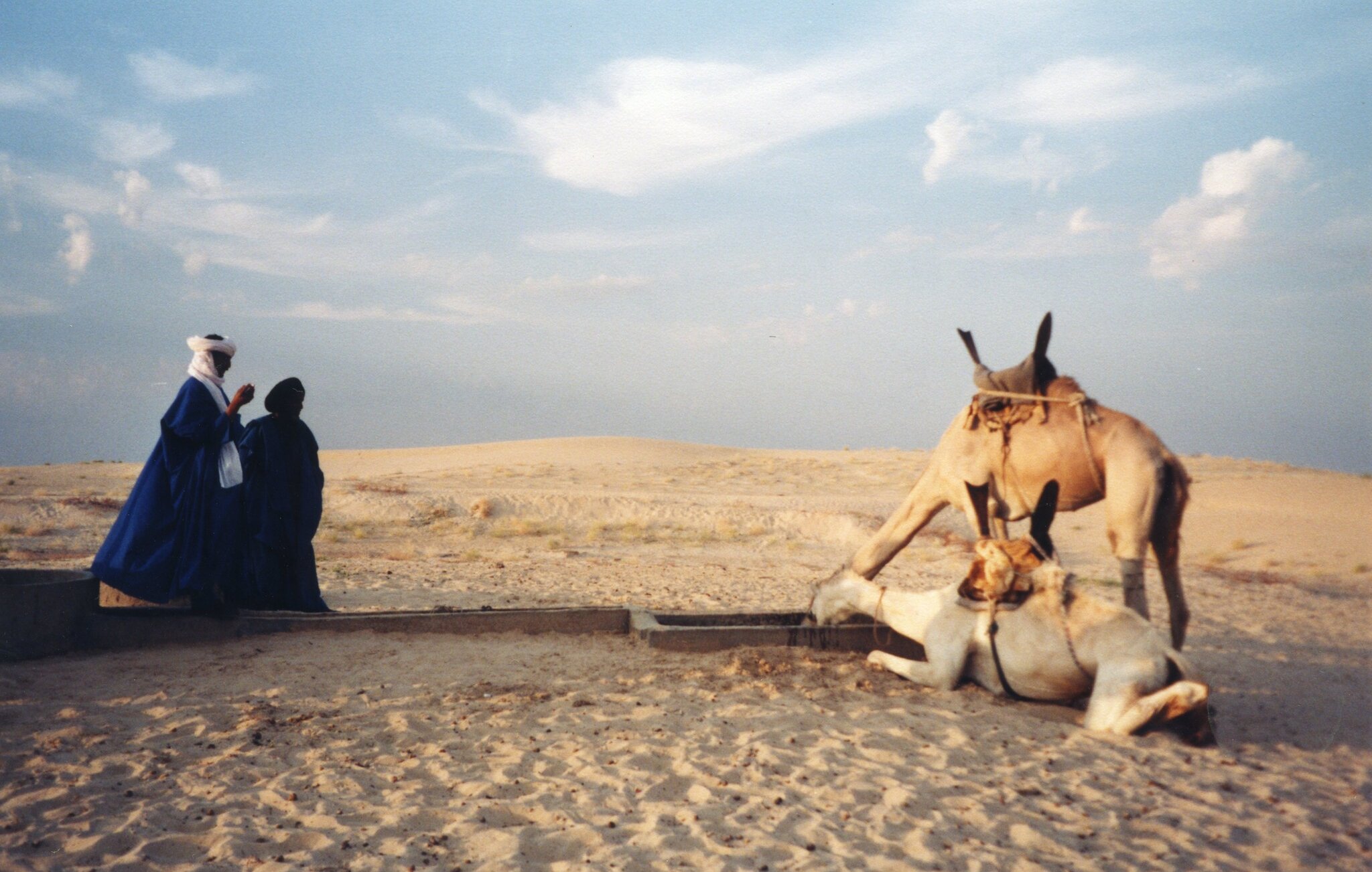 L'image montre un paysage désertique, caractérisé par des dunes de sable qui s'étendent à perte de vue sous un ciel légèrement nuageux. Au premier plan, deux personnes, habillées de vêtements traditionnels, se tiennent près d'un point d'eau. L'une d'elles, en bleu, semble prier ou méditer. À proximité, un chameau repose tranquillement sur le sol, tandis qu'un autre chameau se penche pour boire. L'ambiance de la scène est paisible, avec une lumière douce qui souligne les formes des dunes et des silhouettes. Les sons du désert, comme le vent léger, pourraient renforcer cette atmosphère sereine.