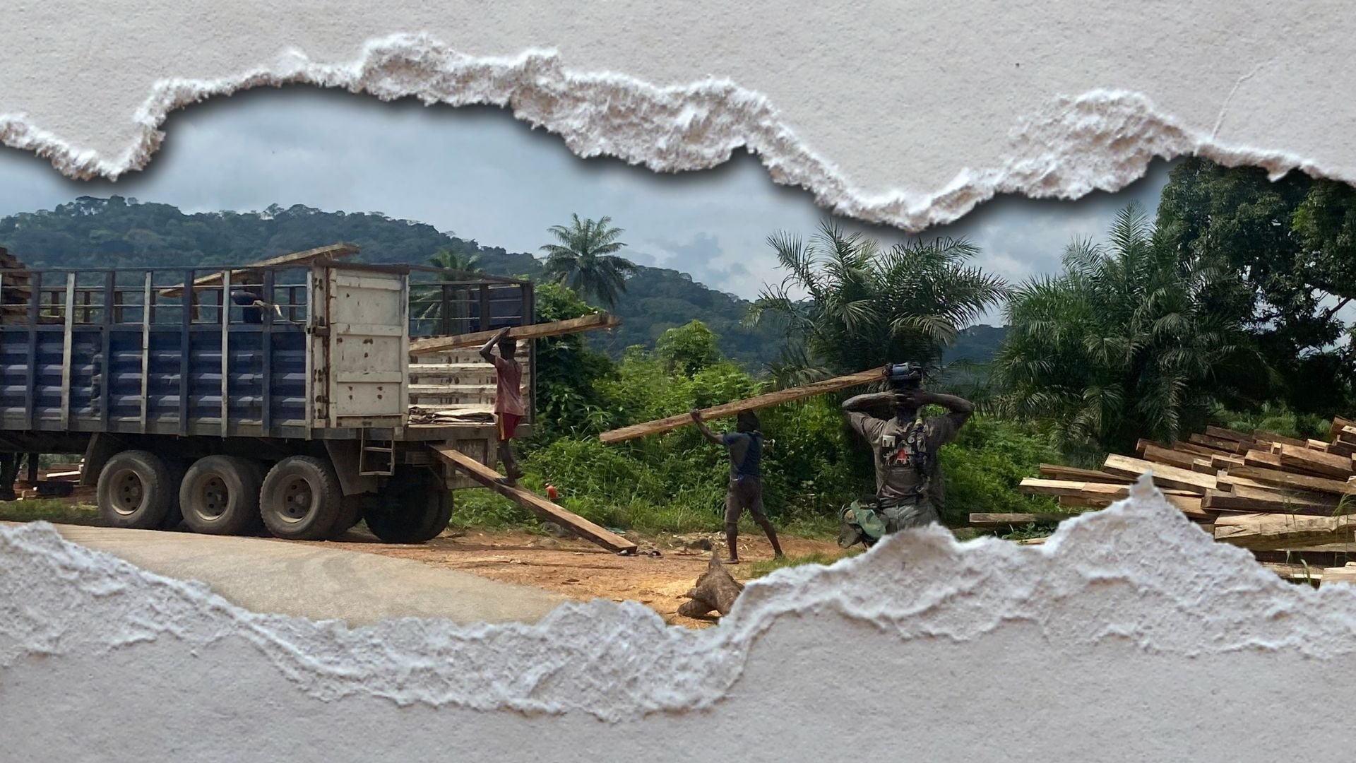 L'image montre une scène de travail en extérieur. On aperçoit un camion rouge et bleu, rempli de longues poutres en bois. Deux hommes sont en train de décharger le bois : l'un porte une poutre sur son épaule, tandis que l'autre se tient près du camion, prêt à aider. En arrière-plan, on peut distinguer une végétation luxuriante avec des palmiers et des collines verdoyantes. Le ciel est nuageux, donnant une ambiance légèrement sombre à la scène. L'image semble être encadrée dans une découpe, ajoutant un effet de profondeur.