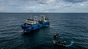 L'image montre un grand navire de pêche de couleur bleue, flottant au milieu de l'océan. Le bateau est en mouvement sur des eaux agitées, sous un ciel nuageux qui laisse présager une légère brise. À côté du navire principal, on peut voir deux petites embarcations, probablement des canots, qui sont en train de s'approcher. Les membres d'équipage, habillés en tenues de plongée, semblent occupés à des activités liées à la pêche. L'ambiance générale dégage une impression de travail maritime, avec le son des vagues et un léger souffle du vent.