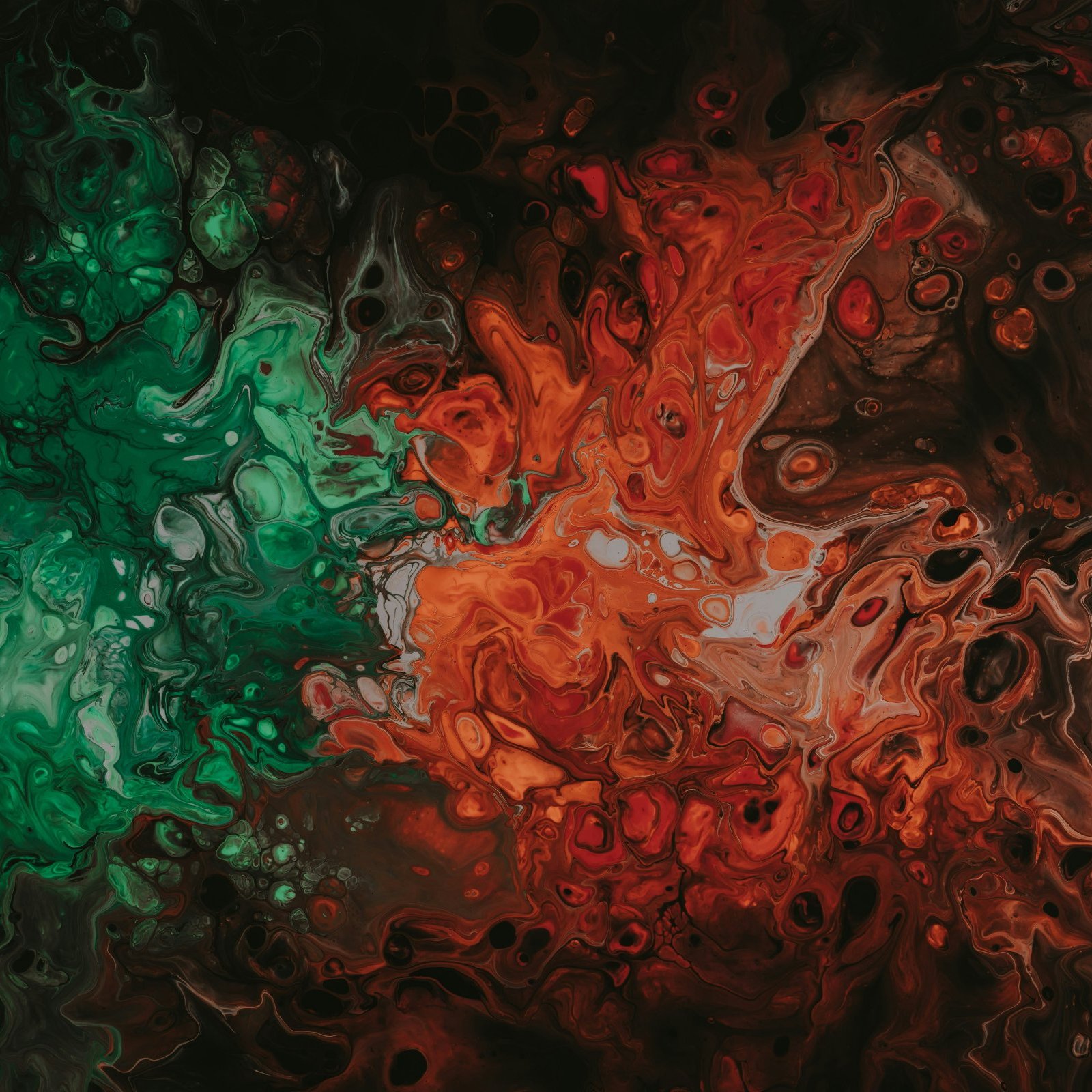 L'image présente une composition abstraite aux teintes vives et contrastées. On y observe principalement des zones de couleurs vertes et rouges, qui se mélangent et tourbillonnent de manière organique. Les nuances varient du vert intense au rouge profond, créant une dynamique visuelle qui évoque une sensation de mouvement et de fluidité. Les formes semblent onduler, comme si elles étaient remplies de matière liquide, donnant l'impression d'une danse entre les couleurs sur un fond sombre et mystérieux, presque noir. Cette œuvre évoque une ambiance à la fois fascinante et tumultueuse, invitant à l'imagination et à la contemplation.