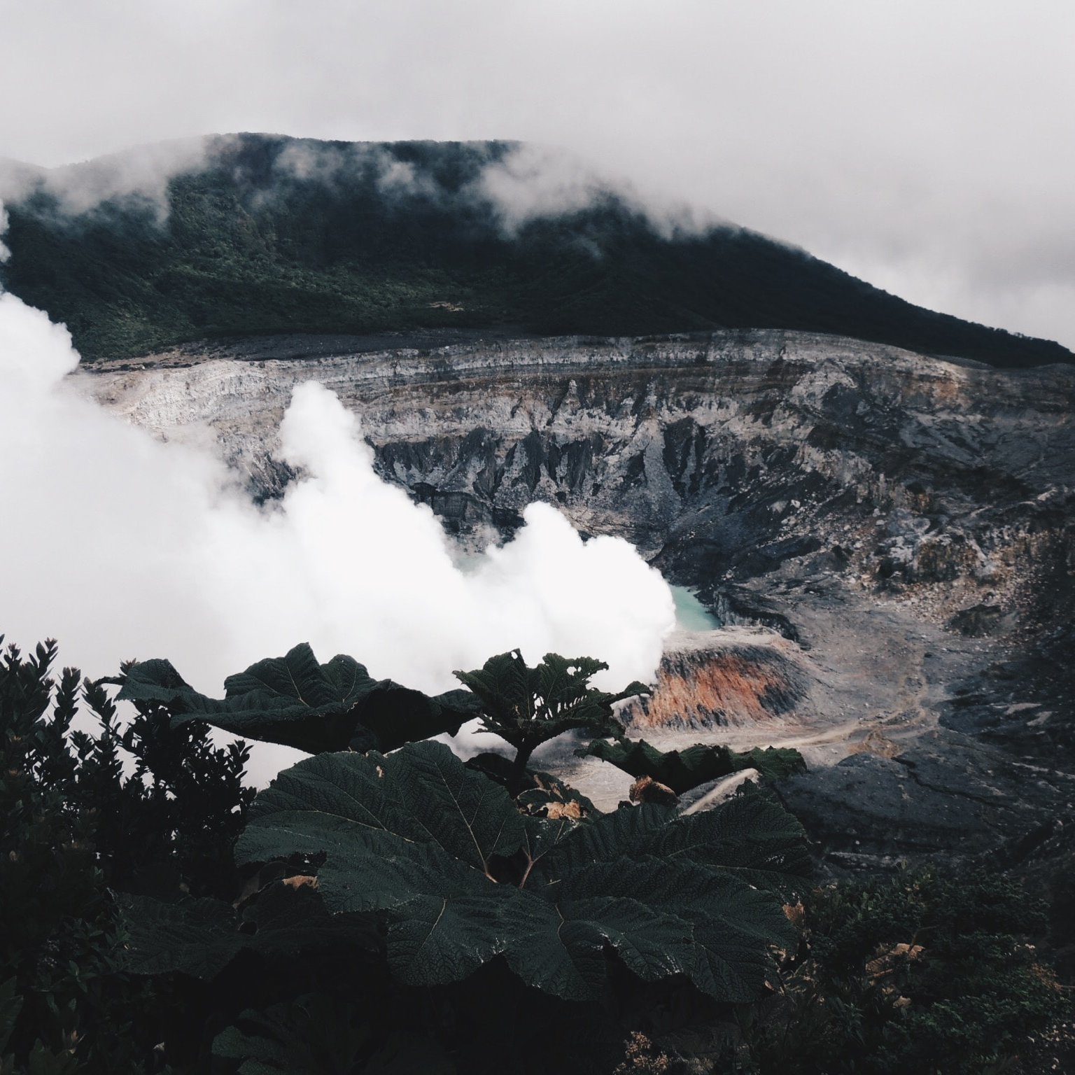 L'image représente un volcan majestueux, entouré de nature. Au premier plan, de grandes feuilles vertes ajoutent une touche de verdure. En arrière-plan, on peut apercevoir la caldeira du volcan, où des nuages de vapeur blanche s'échappent, créant une atmosphère mystérieuse. Le ciel est couvert de nuages, laissant transparaître une lumière diffuse, tandis que les parois du volcan sont marquées par des teintes terreuses, mêlant le gris et le brun. La scène évoque une puissance naturelle, accentuée par le son potentiel du souffle de la terre.