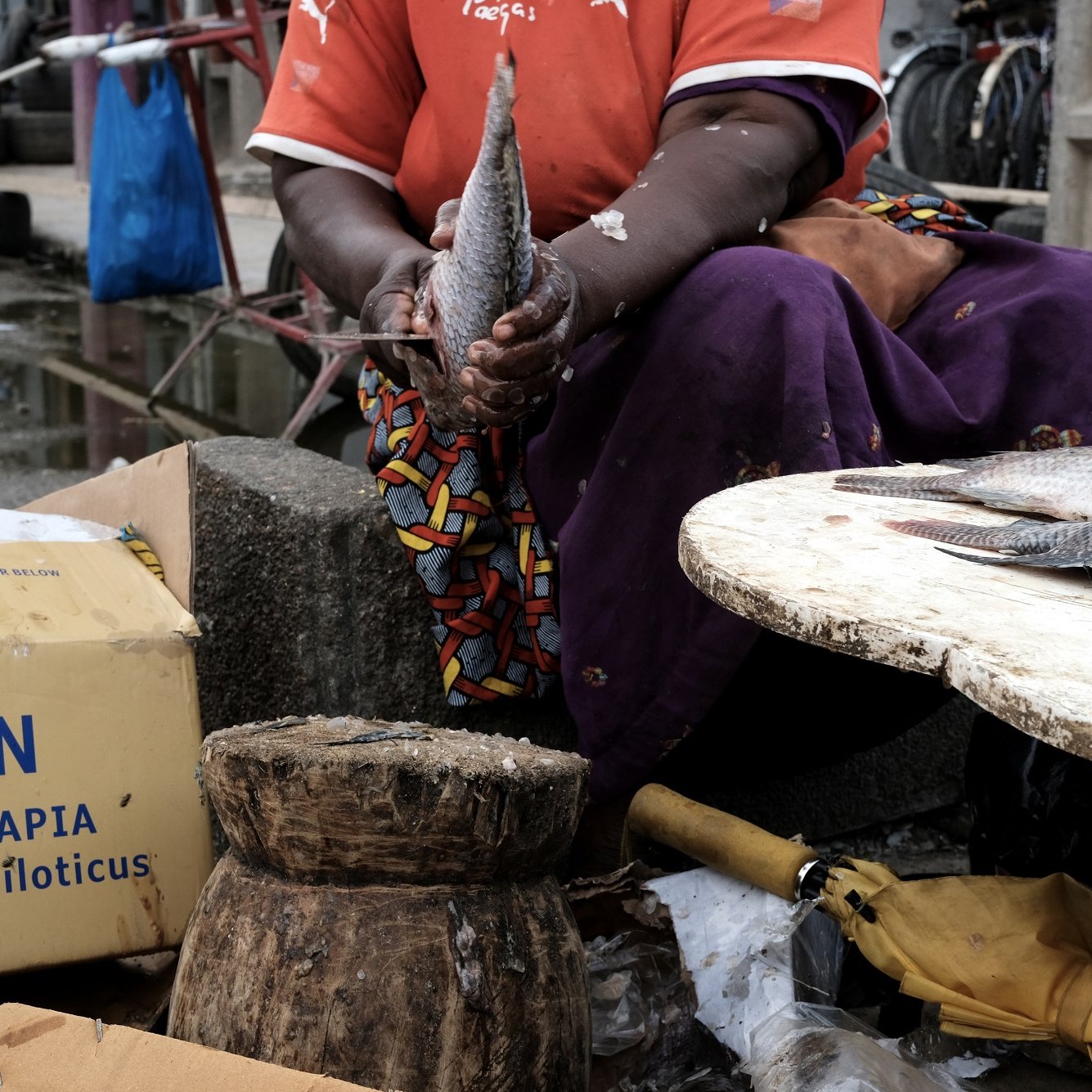 L'image montre une femme qui travaille au marché, tenant un poisson dans ses mains. Elle porte un t-shirt orange et une jupe colorée. À côté d'elle, un tabouret en bois est visible, ainsi qu'une table sur laquelle se trouvent d'autres poissons. Le sol est recouvert de morceaux de glace et des déchets de poisson. En arrière-plan, on peut voir des boîtes et des objets typiques d'un marché, créant une ambiance animée et dynamique. Les détails de l'environnement indiquent un marché de produits frais, avec des textures variées et des odeurs marines.