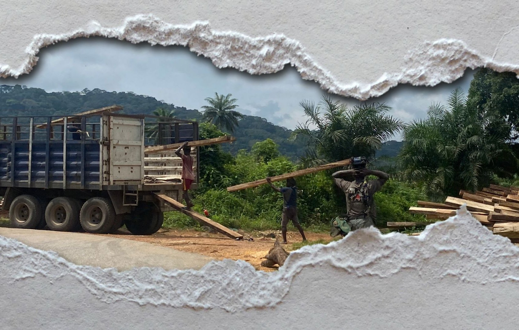 L'image montre une scène de travail en extérieur. On aperçoit un camion rouge et bleu, rempli de longues poutres en bois. Deux hommes sont en train de décharger le bois : l'un porte une poutre sur son épaule, tandis que l'autre se tient près du camion, prêt à aider. En arrière-plan, on peut distinguer une végétation luxuriante avec des palmiers et des collines verdoyantes. Le ciel est nuageux, donnant une ambiance légèrement sombre à la scène. L'image semble être encadrée dans une découpe, ajoutant un effet de profondeur.
