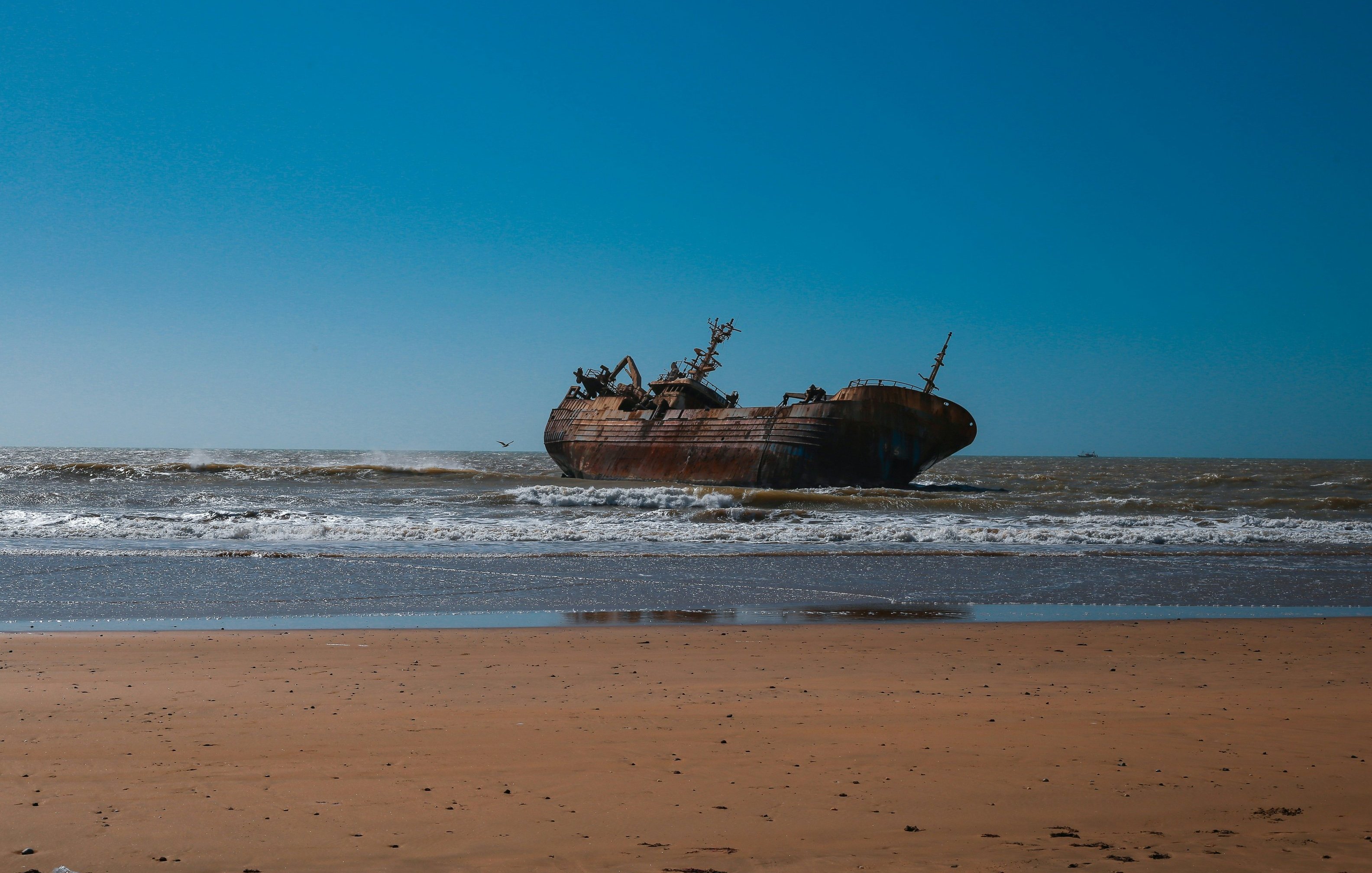 L'image montre un vieux navire échoué sur une plage. Le bateau, rouillé et usé par le temps, repose partiellement immergé dans les vagues calmes de l'océan. En arrière-plan, le ciel est d'un bleu éclatant, sans nuages, tandis que les vagues viennent s'écraser doucement sur le sable doré de la plage. L'atmosphère est à la fois tranquille et mélancolique, évoquant une histoire de voyages passés et d'abandon. Sur la droite, on peut apercevoir quelques oiseaux volant au-dessus de l'eau.