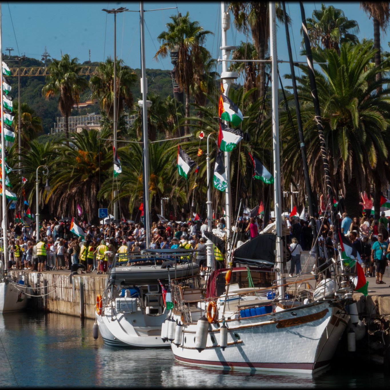 The image shows a vibrant waterfront scene filled with several boats docked along a harbor. There are tall palm trees lining the shore, contributing to a tropical atmosphere. A large crowd of people can be seen gathered by the boats, many waving flags, suggesting a festive or celebratory event. The flags feature various colors and designs, indicating a sense of community or national pride. In the background, there are green hills and possibly some buildings, adding depth to the setting. The overall mood appears to be lively and cheerful, with bright sunlight illuminating the scene.