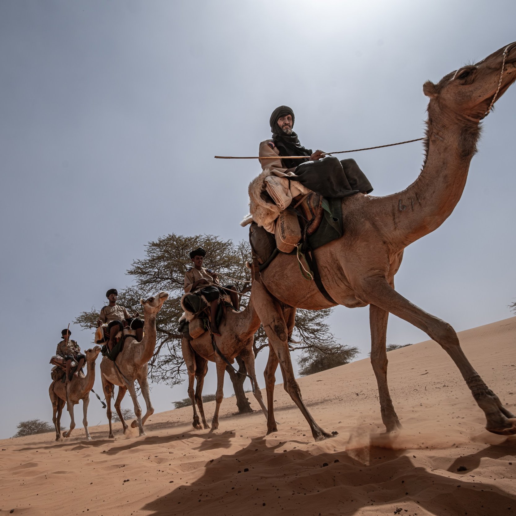 Dans cette image, on voit un groupe de personnes traversant un paysage désertique. Ils sont assis sur des chameaux, marchant lentement sur des dunes de sable. Le ciel est lumineux, presque sans nuages, et le soleil projette des ombres douces sur le sol. À l'arrière-plan, quelques arbres solitaires émergent du sable, ajoutant une touche de verdure à l'environnement aride. Les cavaliers portent des vêtements traditionnels, et certains tiennent des bâtons. L'ambiance de la scène évoque l'aventure et l'exploration dans un cadre naturel et spectaculaire.