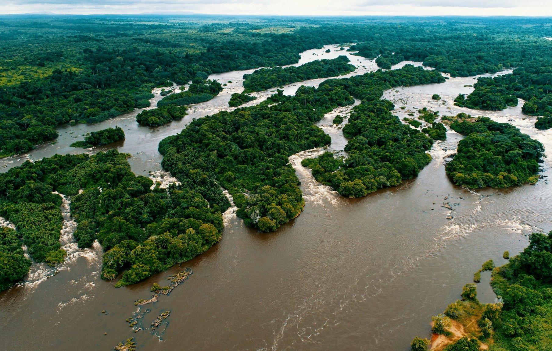 Imaginez une vaste étendue de nature sauvage, où de larges rivières serpentent à travers un écran dense de verdure. Cette scène évoque un paysage tropical, où la lumière du soleil joue sur la surface de l'eau. Les rivières, aux teintes brunes, contournent des îlots couverts d'arbres et de buissons, créant un motif harmonieux de courbes et de reflets. Au loin, des collines se dessinent, soulignant l'immensité et la richesse de cette jungle luxuriante, propice à la vie sauvage. L'air est chargé des sons apaisants de l'eau qui coule et du chant des oiseaux, rappelant l'énergie vivante de cet écosystème.