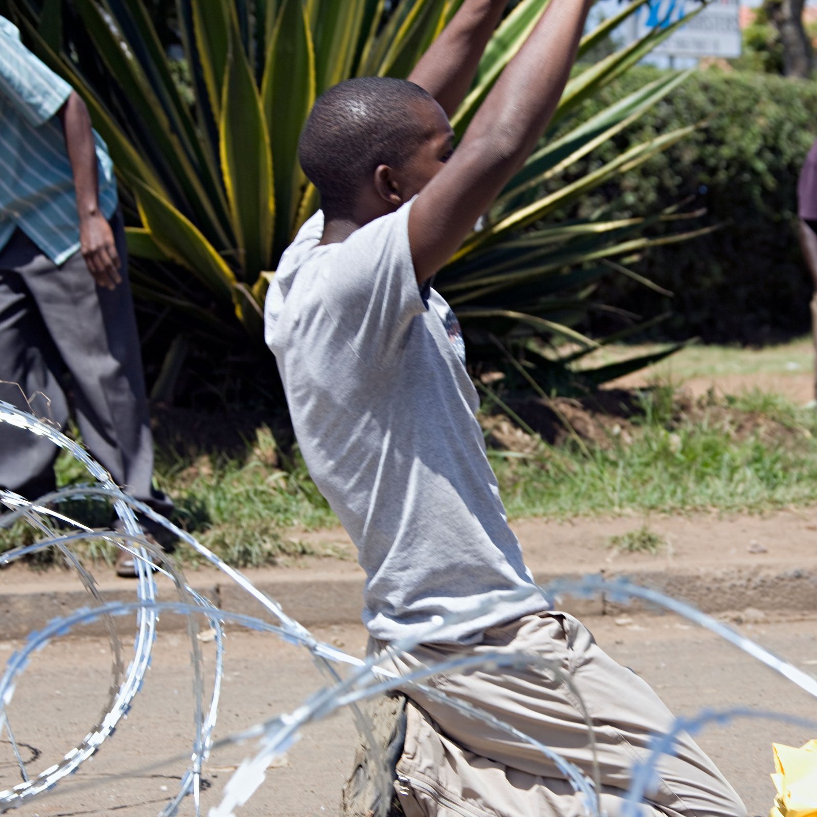L'image présente une scène animée dans un environnement urbain. Au premier plan, un jeune homme est agenouillé sur le sol, les bras levés dans une posture d'expression intense, peut-être de joie ou de victoire. Il porte un t-shirt gris et un pantalon clair. Autour de lui, des fil de fer barbelés sont dispersés, ajoutant une dimension de tension à la scène. En arrière-plan, plusieurs personnes sont visibles, certaines observant, d'autres engagées dans des activités, suggérant une atmosphère collective. La végétation, avec des plantes vertes, donne un aspect naturel au lieu. L'ensemble de cette image transmet une forte émotion, où les gestes et les postures des individus racontent une histoire d'énergie et de dynamisme.
