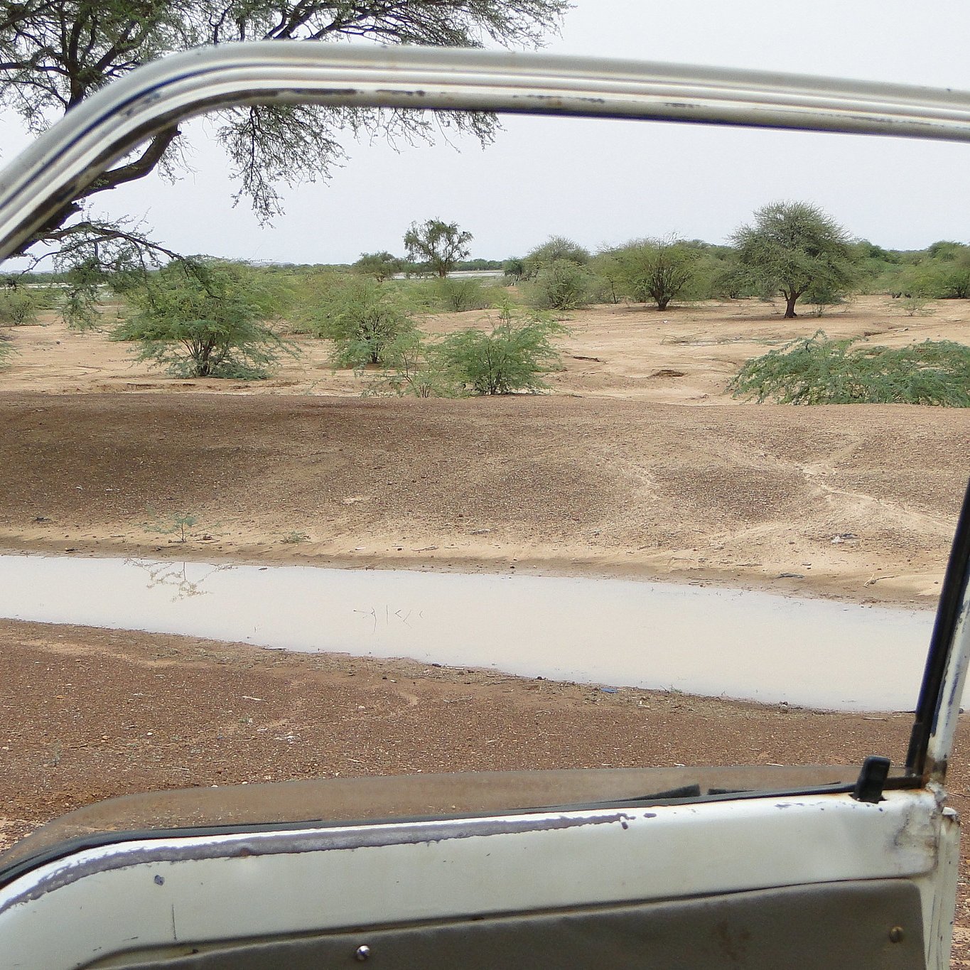 L'image montre le cadre ouvert d'une porte de véhicule, donnant sur un paysage désertique. À l'extérieur, on peut voir un sol aride, parsemé d'arbres épars et de buissons verts. Une petite flaque d'eau est visible, reflétant légèrement la lumière. L'ambiance générale évoque un paysage calme et sec, typique des régions désertiques, avec des teintes de terre brune et des touches de verdure.