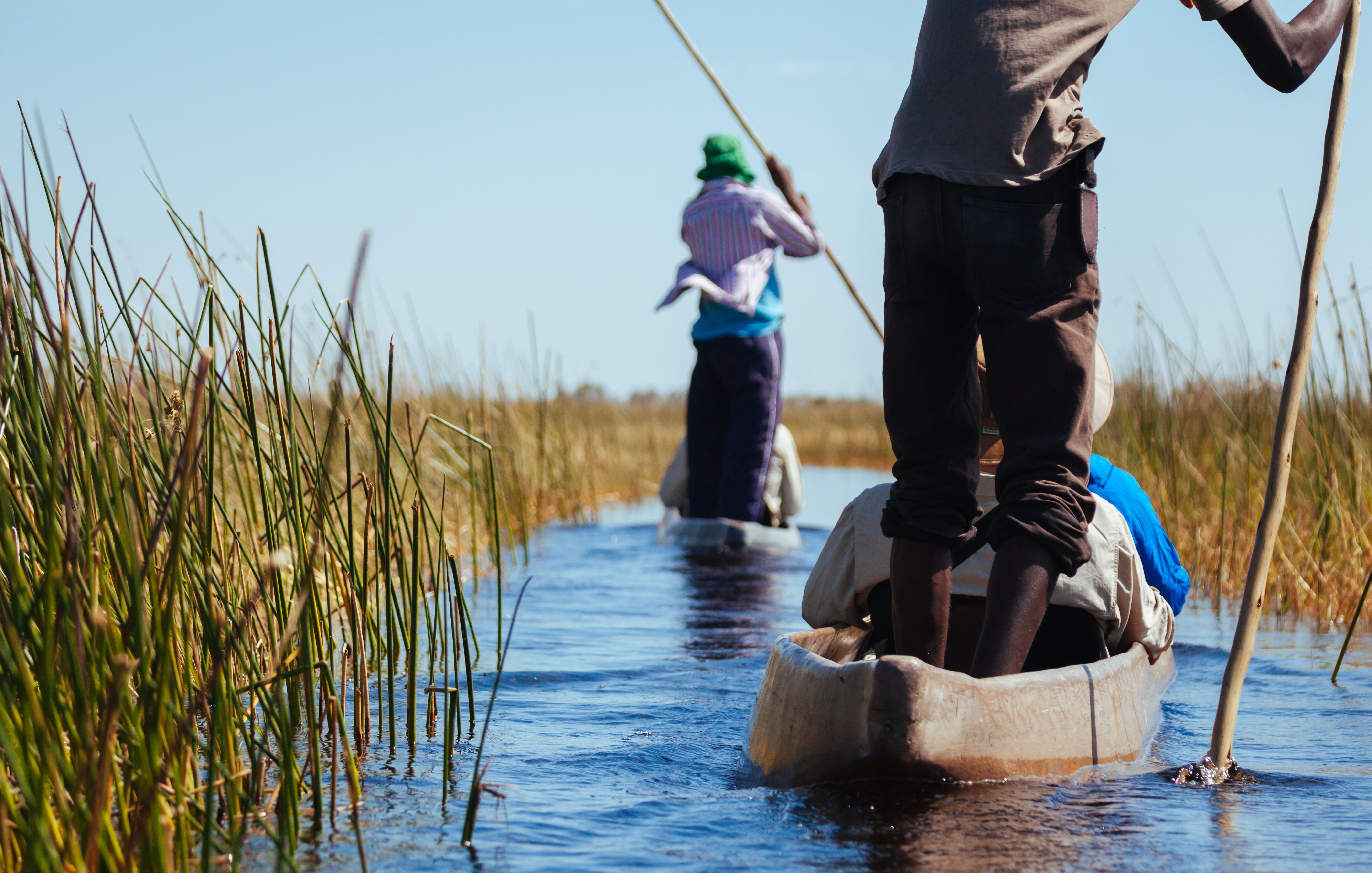 Sur cette image, on voit des personnes naviguant dans des canots en bois au milieu d'un paysage aquatique. L'eau est calme et reflète le ciel bleu. Des herbes vertes et hautes bordent le chemin, créant un contraste avec les canots. Les rames des pagayeurs, qui sont en partie flous, indiquent le mouvement. Le soleil semble briller, apportant une ambiance chaleureuse et naturelle à cette scène paisible. La composition suggère une connexion harmonieuse entre les hommes et la nature environnante.