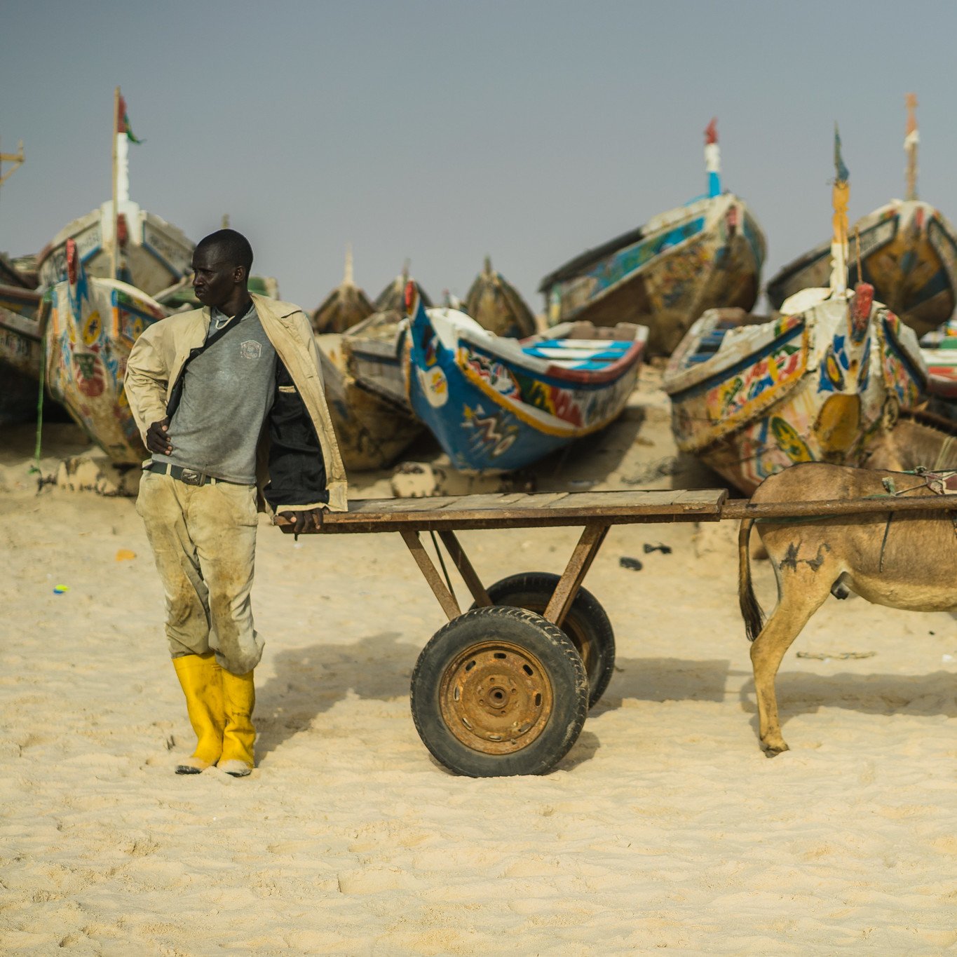 Dans cette image, un homme se tient près d'une charrette tirée par un âne sur une plage de sable. Il porte des bottes jaunes et un vêtement décontracté, et son regard est tourné vers l'horizon. En arrière-plan, plusieurs bateaux colorés sont alignés sur la plage, ornés de motifs et de dessins artistiques. L'atmosphère est tranquille, avec un ciel légèrement brumeux qui ajoute une touche de mystère à la scène. Le son des vagues et l'odeur de la mer pourraient également être imaginés, créant une ambiance maritime authentique.