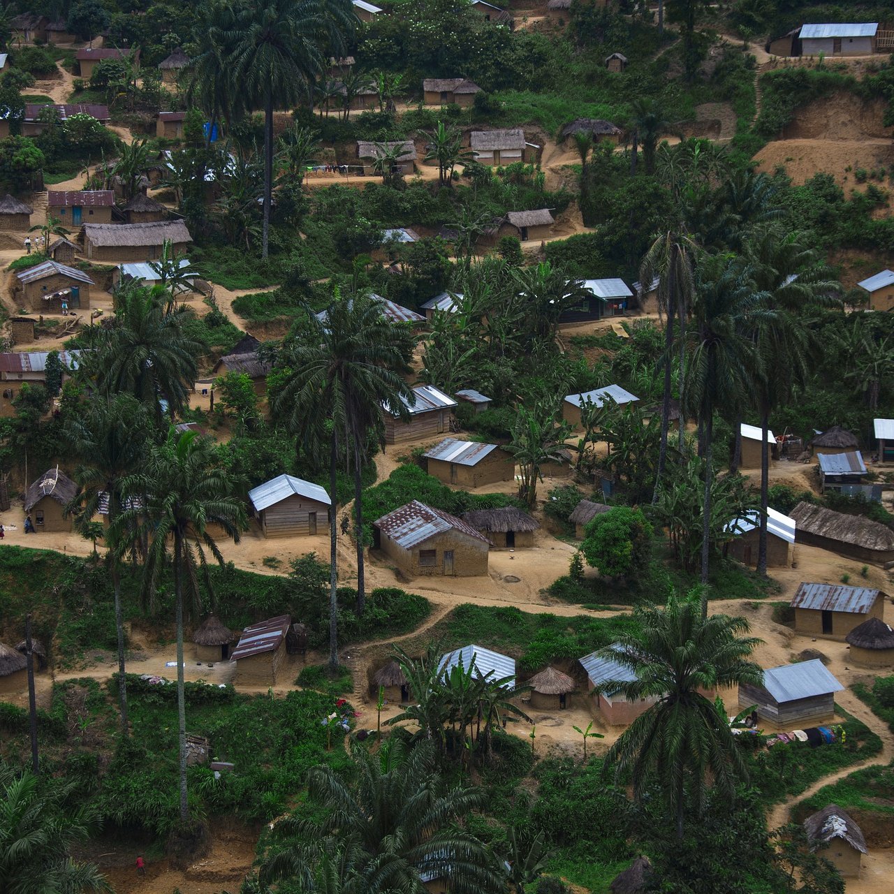 L'image présente un paysage rural d'un village, vu d'une certaine hauteur. On y aperçoit des maisons modestes, certaines avec des toits en tôle ondulée, d'autres avec des toits de chaume. Les habitations sont dispersées au milieu d'une végétation dense, dominée par de grandes palmiers. Le sol est en terre battue et on distingue des chemins qui relient les maisons. L'ambiance est paisible, permettant d'imaginer un cadre de vie simple et rural, entouré par la nature vibrante.