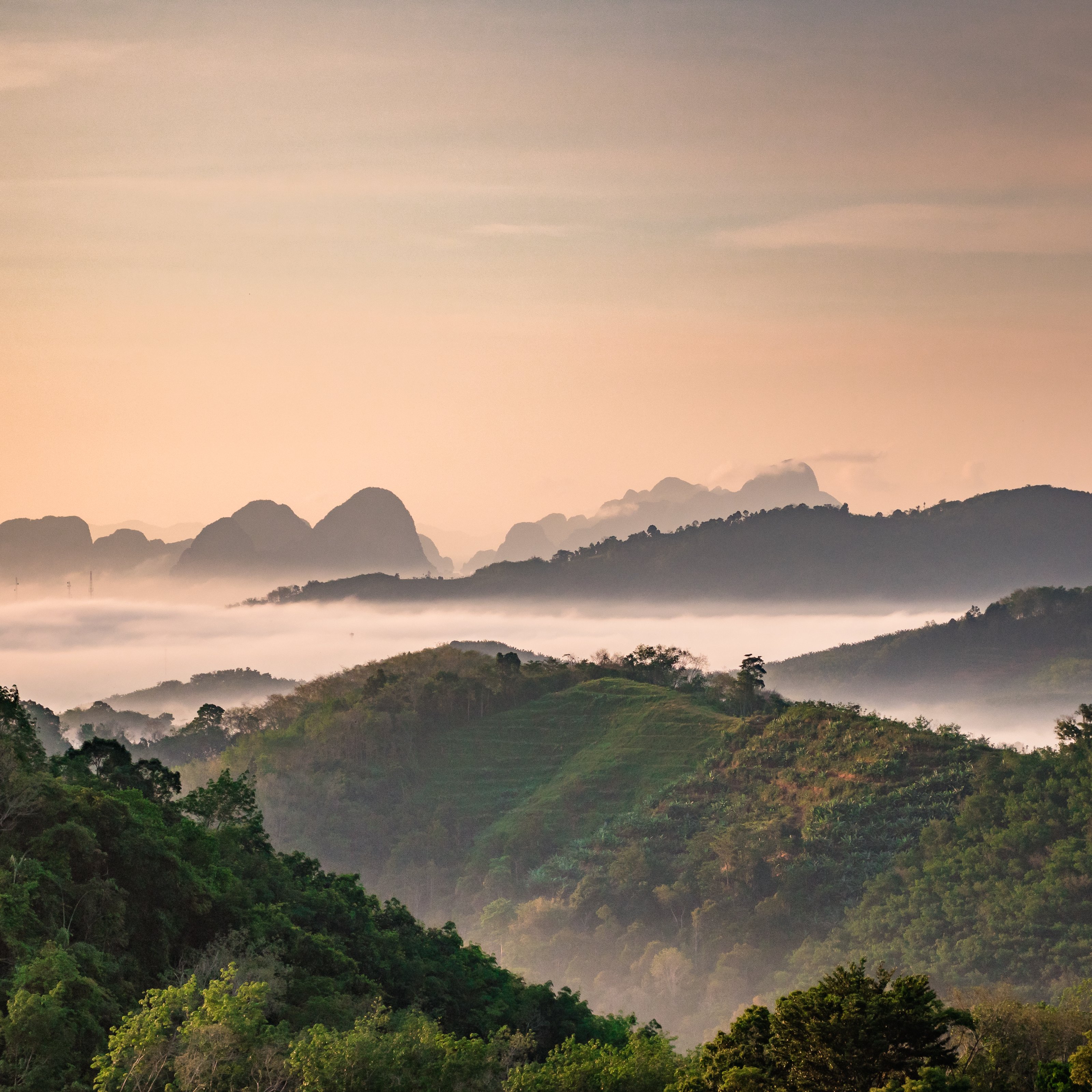 Imaginez un panorama majestueux au lever du soleil, où des collines verdoyantes s'étendent à perte de vue. Les ondulations des montagnes se dessinent doucement à l'horizon, se fondant dans une brume légère qui enveloppe le paysage. Les couleurs du ciel passent des teintes douces de rose et d'orange, créant une atmosphère paisible et sereine. La verdure des arbres et des plantes forme un contraste vivant avec la douceur des nuages. L'ensemble évoque un sentiment de tranquillité, comme si la nature se réveillait lentement sous l'éclat du jour.
