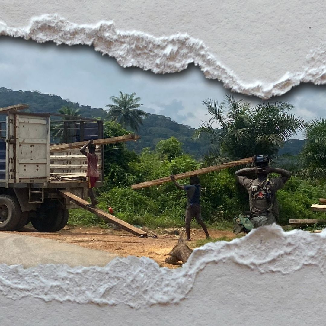 L'image montre une scène de travail en extérieur. On aperçoit un camion rouge et bleu, rempli de longues poutres en bois. Deux hommes sont en train de décharger le bois : l'un porte une poutre sur son épaule, tandis que l'autre se tient près du camion, prêt à aider. En arrière-plan, on peut distinguer une végétation luxuriante avec des palmiers et des collines verdoyantes. Le ciel est nuageux, donnant une ambiance légèrement sombre à la scène. L'image semble être encadrée dans une découpe, ajoutant un effet de profondeur.