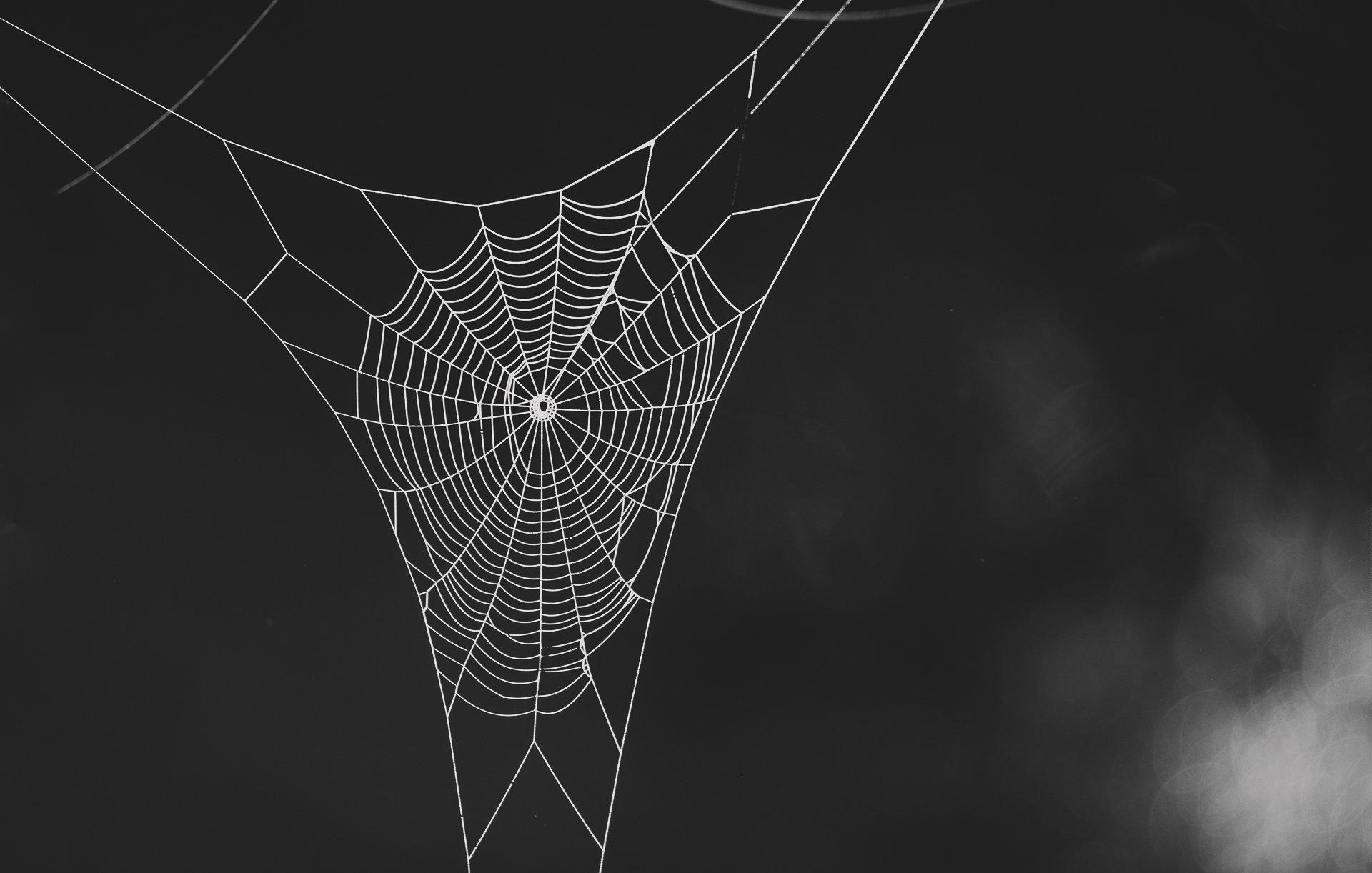 L'image représente une toile d'araignée délicate, suspendue dans l'air. La toile est composée de nombreux fils fins, formant un motif en spirale qui converge vers le centre. Ce dernier est souvent occupé par une petite araignée, bien qu'elle ne soit pas visible ici. Le fond est sombre, ce qui met en valeur la légèreté et la transparence des fils de la toile. Les détails du design évoquent une impression de finesse et de structure complexe, créant un contraste saisissant avec l'arrière-plan. Cette scène transmet une atmosphère de calme et de mystère, rappelant la beauté de la nature.