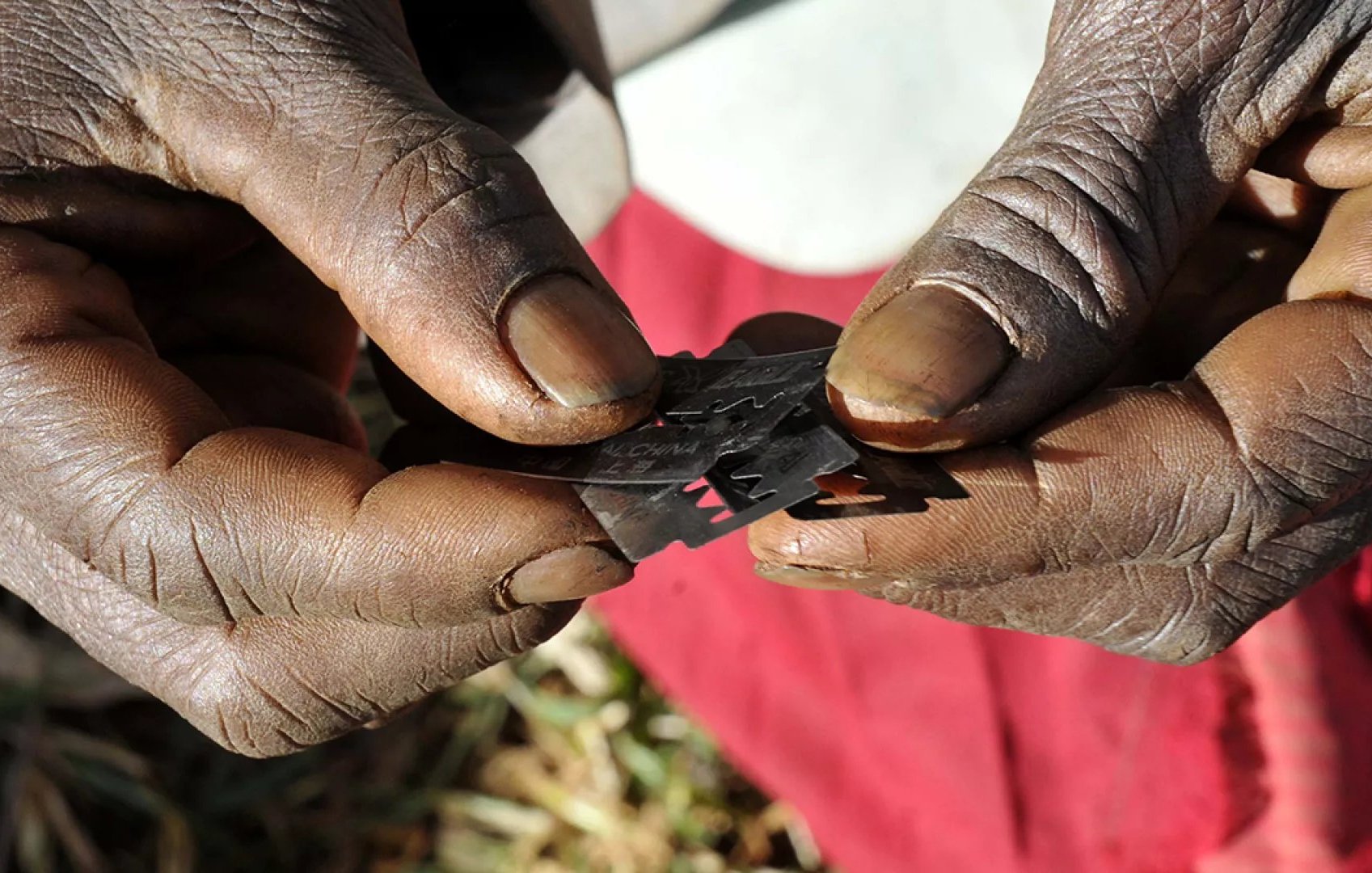 L'image montre des mains, aux doigts marqués et usés, tenant délicatement des lames de rasoir. La peau est foncée, avec des callosités et des signes visibles d'une vie de travail. Les lames sont métalliques et brillante, contrastant avec la texture rugueuse des mains. En arrière-plan, on devine une surface naturelle, peut-être de l'herbe ou de la terre, ce qui pourrait évoquer un environnement rural. L'ensemble dégage une impression de soin et de précaution dans la manipulation de ces objets tranchants.