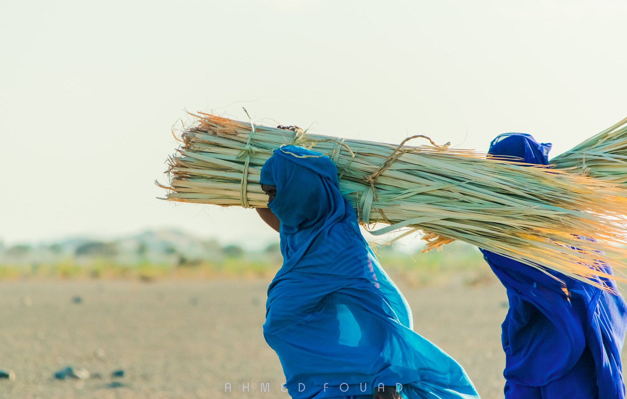 L'image représente deux personnes portant de lourdes charges de tiges de plantes sur leurs épaules. Elles sont habillées de longues robes, l'une en bleu clair et l'autre en bleu foncé. Leurs visages sont en partie voilés, ce qui renvoie à une culture particulière. La scène se déroule en extérieur, sur un terrain aride, avec des collines en arrière-plan et un ciel lumineux. L'atmosphère semble sereine, mettant en valeur l'effort des travailleurs dans un environnement naturel.