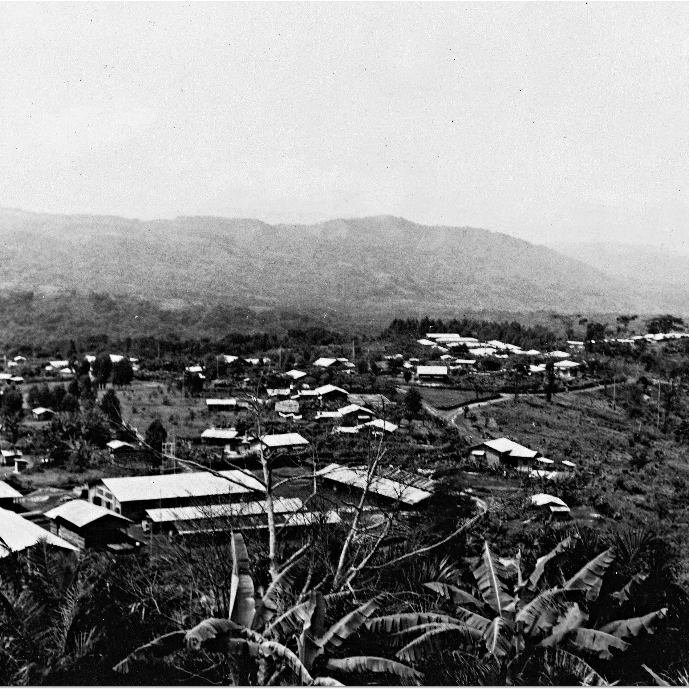 Cette image propose une vue panoramique d'un paysage rural. Au premier plan, on remarque une végétation dense, avec des feuilles larges et des arbres. En arrière-plan, se déploie une vallée avec plusieurs maisons aux toits en tôle, éparpillées sur le terrain. Certaines constructions sont entourées d'arbres et de collines, tandis que les montagnes s'élèvent au loin, créant un contraste avec le ciel. Les nuances de gris de l'image évoquent un atmosphère nostalgique et calme, typique d'une région tranquille, loin du brouhaha urbain.