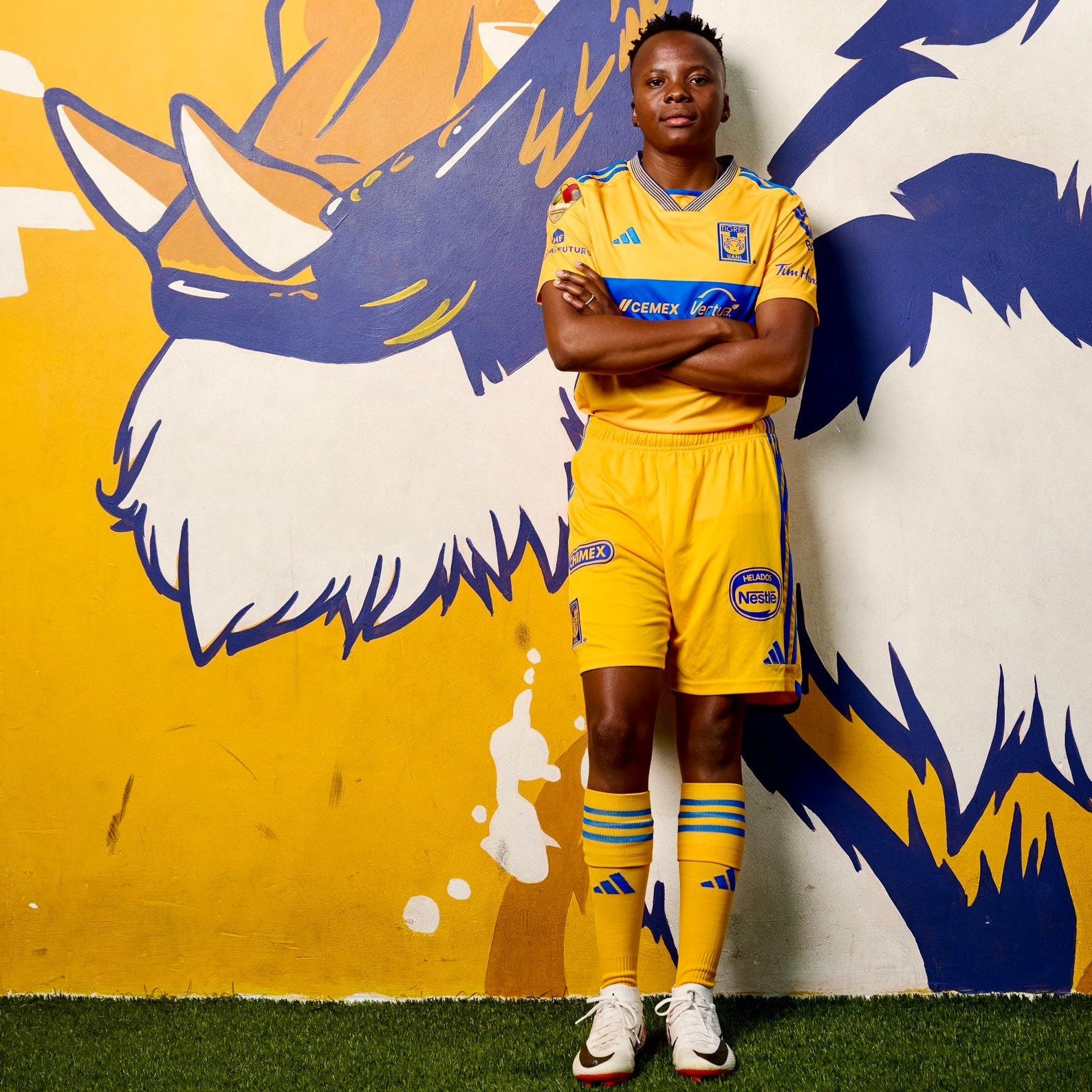 L'image montre un jeune homme debout devant un mur peint en jaune et bleu, qui représente un tigre rugissant. Il porte un uniforme de footbal aux couleurs vives, principalement jaune, avec des détails bleus. Son attitude est confiante ; il se tient les bras croisés, affichant une expression de détermination. Le mur qui l'entoure ajoute une dynamique visuelle avec des motifs de griffes et des éléments stylisés qui renforcent le thème du tigre. Le sol est recouvert d'herbe artificielle, évoquant un terrain de sport.