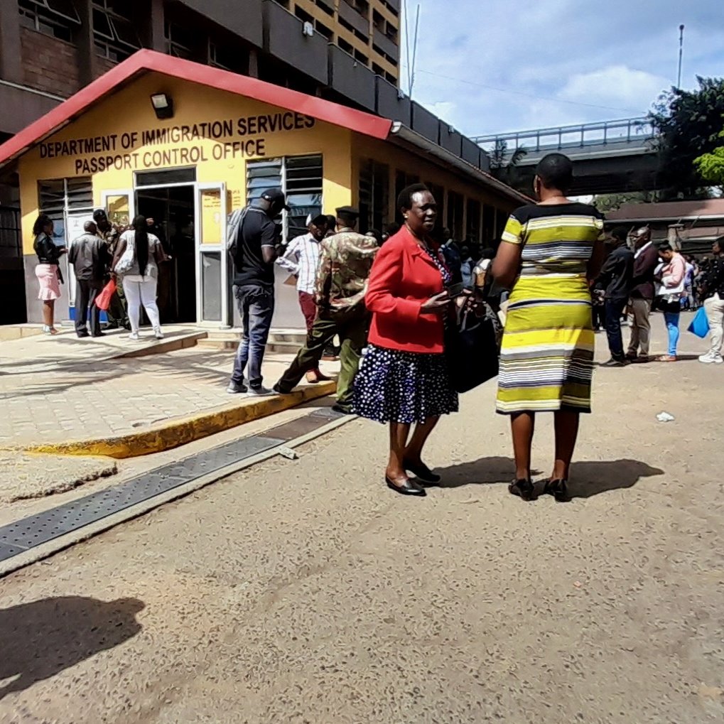 L'image montre une scène animée à l'extérieur d'un bureau de contrôle des passeports, identifié comme le "Department of Immigration Services". À l'avant-plan, deux femmes discutent, l'une portant une jupe et un haut noir avec des motifs, et l'autre vêtue d'une robe rayée jaune. L'environnement est urbain, avec des bâtiments en arrière-plan et une foule de personnes qui attendent ou se déplacent, créant une ambiance dynamique. Le ciel est partiellement nuageux, et l'atmosphère semble être celle d'une journée active. Les surfaces sont en béton, ajoutant un aspect concret à l'ensemble de la scène.