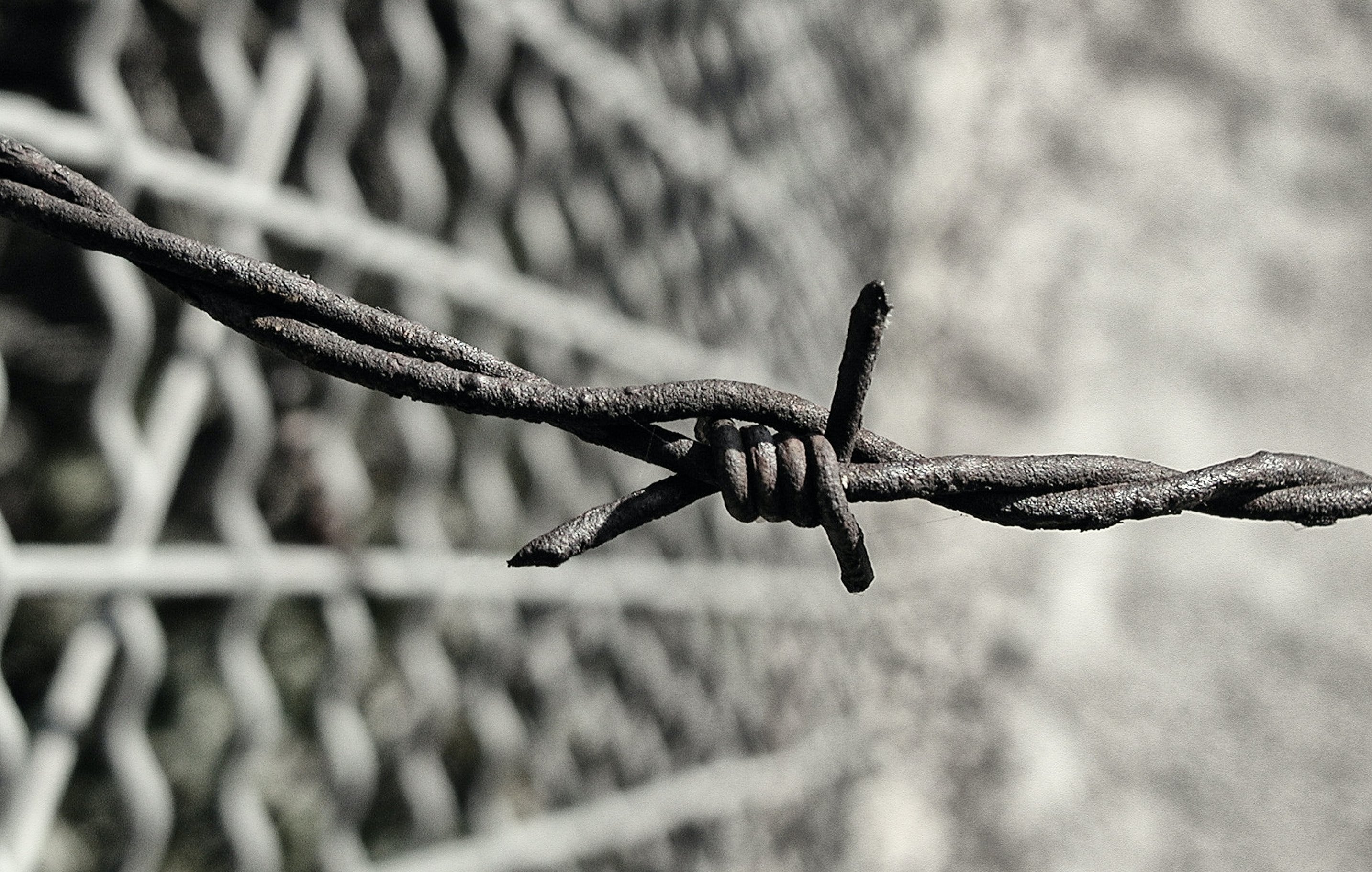 Cette image montre un gros plan de fil de fer barbelé. Le fil est tortueux et comporte des nœuds en spirale, créant un effet de barrière. Le fond est flou, avec une structure en grillage qui se dessine, indiquant que le fil de fer est peut-être installé pour délimiter un espace ou empêcher l'accès. La texture du fil semble rugueuse et rustique, ajoutant une impression de dureté et de résistance.
