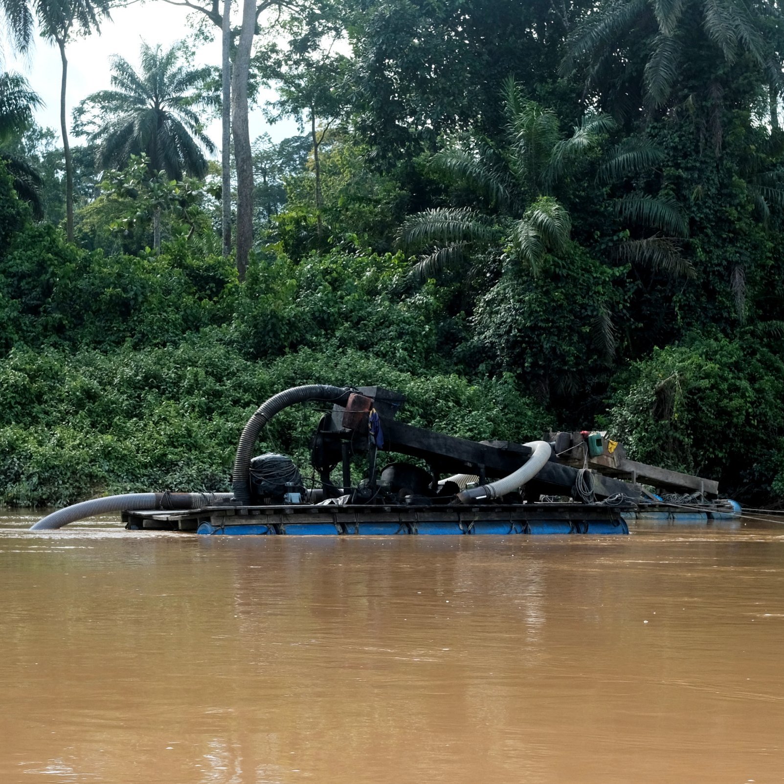 L'image montre un bateau sur une rivière aux eaux brunes. Ce bateau est équipé d'un grand tuyau qui semble aspirer de la matière de l'eau. À l'arrière-plan, on peut voir une végétation dense, composée de grandes plantes et d'arbres tropicaux, qui créent une ambiance naturelle et verdoyante. La scène évoque une activité liée à l'extraction de ressources, probablement de l'or ou des minéraux, dans un environnement de jungle.