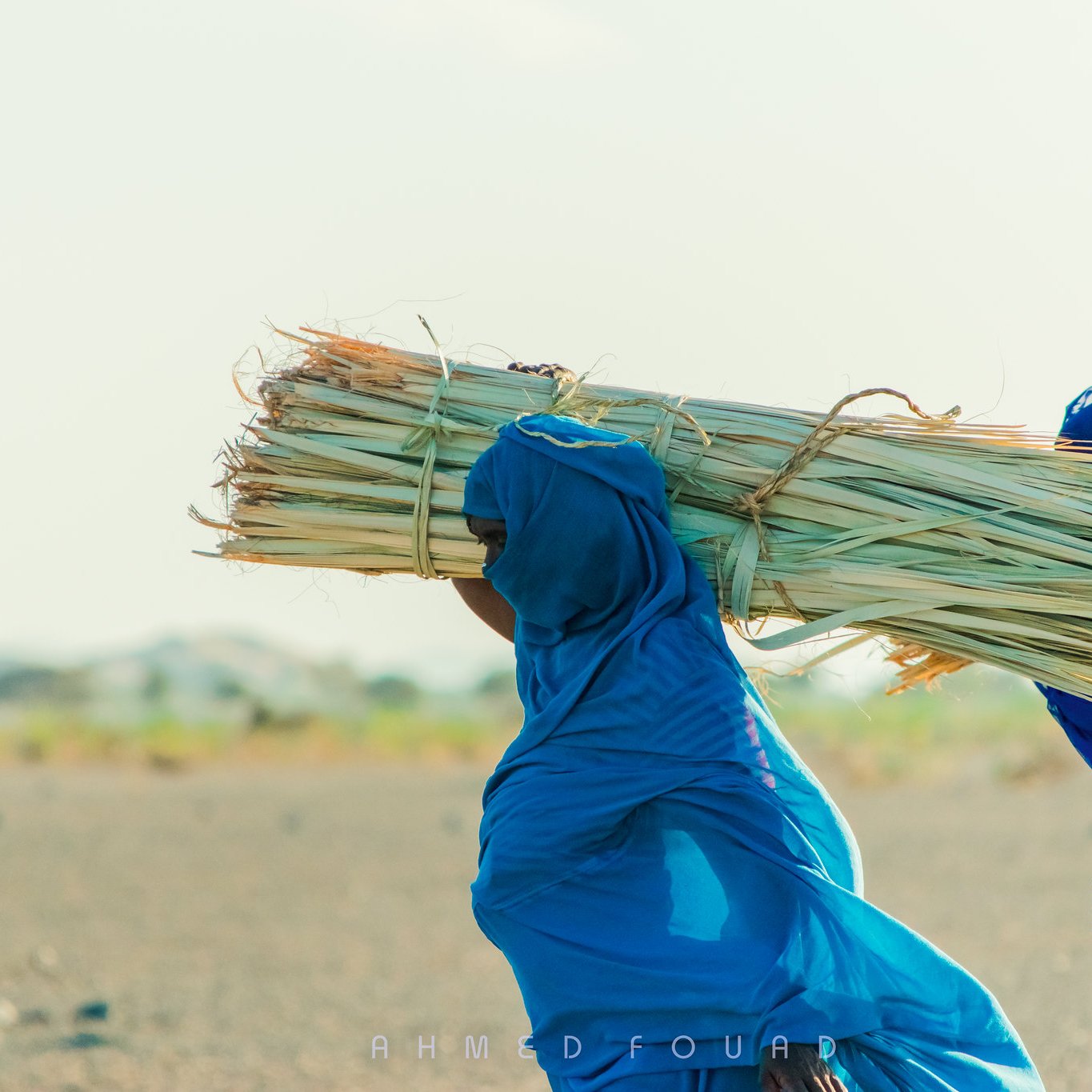 L'image représente deux personnes portant de lourdes charges de tiges de plantes sur leurs épaules. Elles sont habillées de longues robes, l'une en bleu clair et l'autre en bleu foncé. Leurs visages sont en partie voilés, ce qui renvoie à une culture particulière. La scène se déroule en extérieur, sur un terrain aride, avec des collines en arrière-plan et un ciel lumineux. L'atmosphère semble sereine, mettant en valeur l'effort des travailleurs dans un environnement naturel.