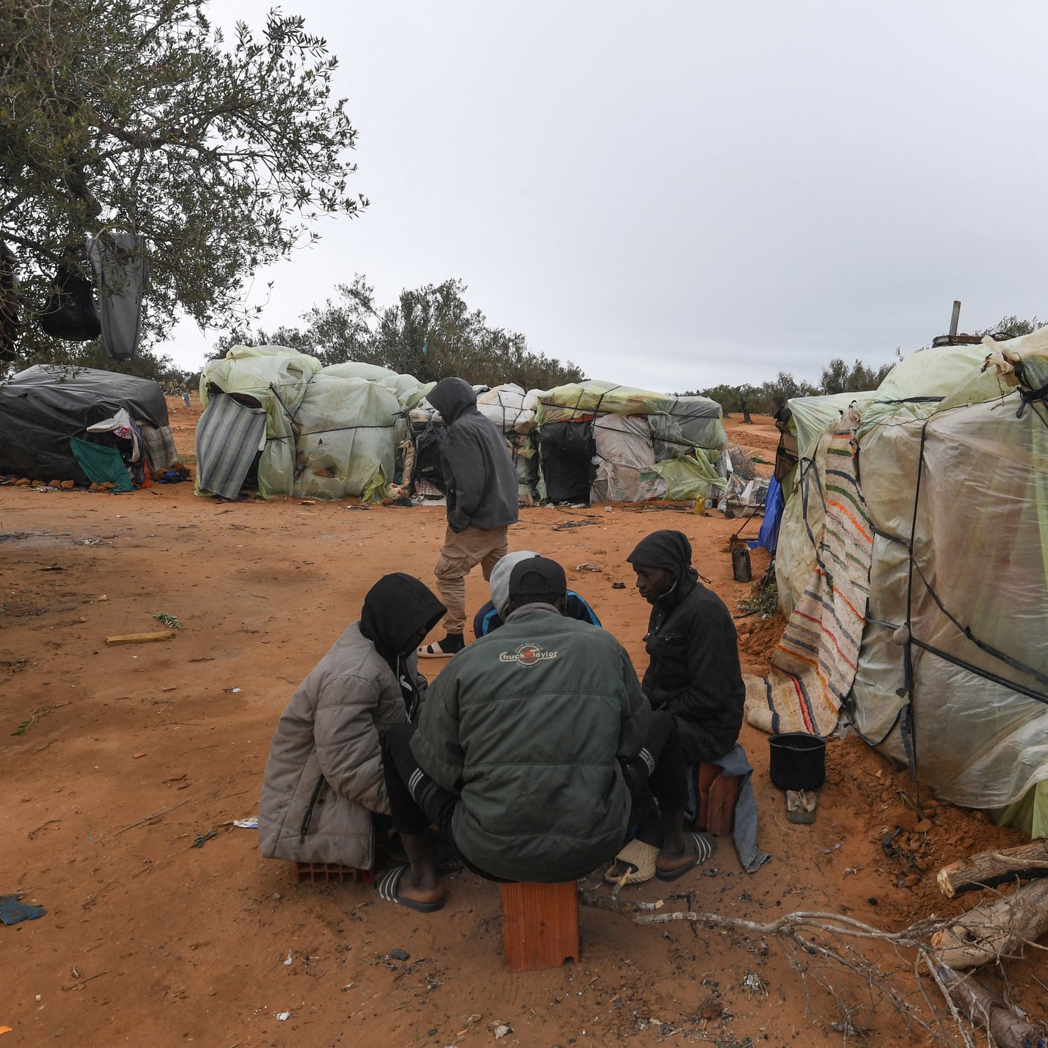 L'image montre un paysage d'abris précaires, construits avec des matériaux comme du plastique et des bâches, disposés sur un terrain sablonneux. Au premier plan, un groupe de personnes est assis en cercle, partagé entre une conversation ou une activité commune. Les abris semblent rudimentaires, entourés d'un environnement naturel avec quelques arbres épars. L'atmosphère est grise, suggérant un temps maussade. Skies sombres et nuageux donnent une impression de froid et de dureté.