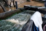 Tapis inclinés visant à récupérer l'or installés sur une drague libérienne, sur le fleuve Cavally, au Liberia (juin 2025).