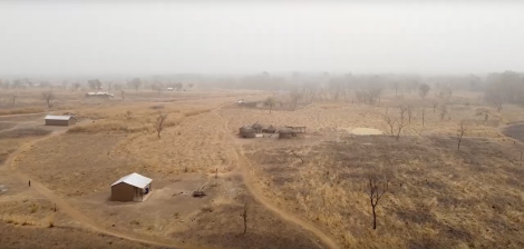 Imaginez un paysage sauvage où la nature se déploie dans toute sa variété. Devant vous, le sol est recouvert d'une terre rougeâtre, légèrement ondulée, parsemée d'herbes sèches et de feuillages clairsemés. Quelques arbres majestueux se dressent, leurs silhouettes se découpant sur un ciel clair. À gauche, un arbre nu, dont les branches s'élèvent vers le ciel, témoigne de la saison sèche. Sur votre droite, un autre arbre, encore partiellement feuillu, apporte une touche de verdure. Le paysage est apaisant, bercé par le murmure d'une eau stagnante à proximité, où quelques oiseaux pourraient se rassembler. L'air est chaud, chargé de l'odeur des plantes et de la terre, et l'ambiance respire la tranquillité typique des régions rurales.