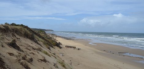 Imaginez une plage tranquille, où le sable doré s'étend à perte de vue, bordée par des dunes douces et ondulantes. À gauche, des herbes et quelques buissons verdoyants se dressent sur les dunes, contraste parfait avec le ciel bleu souvent parsemé de nuages blancs et légers. En face, les vagues de l'océan viennent doucement toucher le rivage, créant un son apaisant. Au loin, on aperçoit un groupe de personnes, peut-être des marcheurs, qui se déplacent lentement le long de la plage, ajoutant une touche de vie à ce paysage naturel serein. Le tout évoque une atmosphère de calme et de connexion avec la nature.